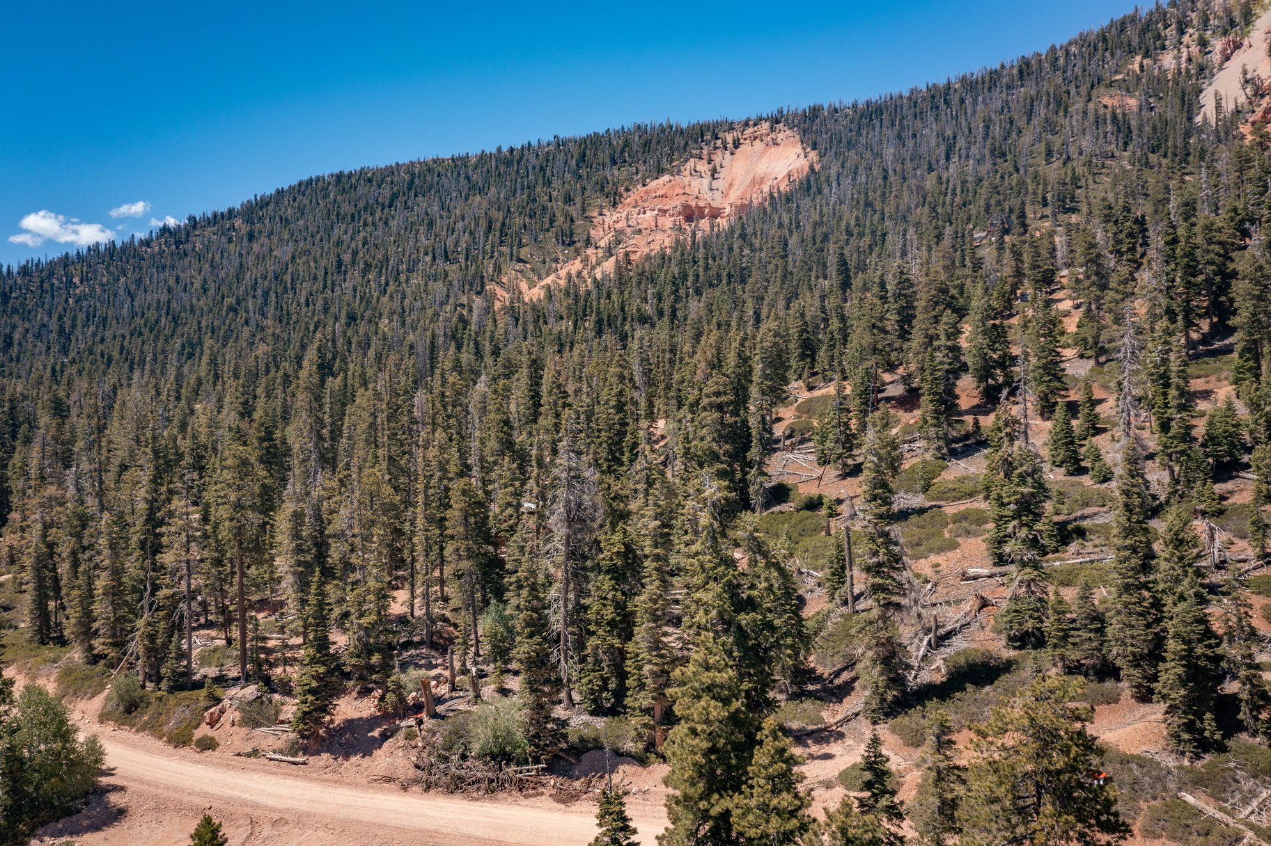  Quiet Mountain Retreat Near Navajo Lake - 物件實景