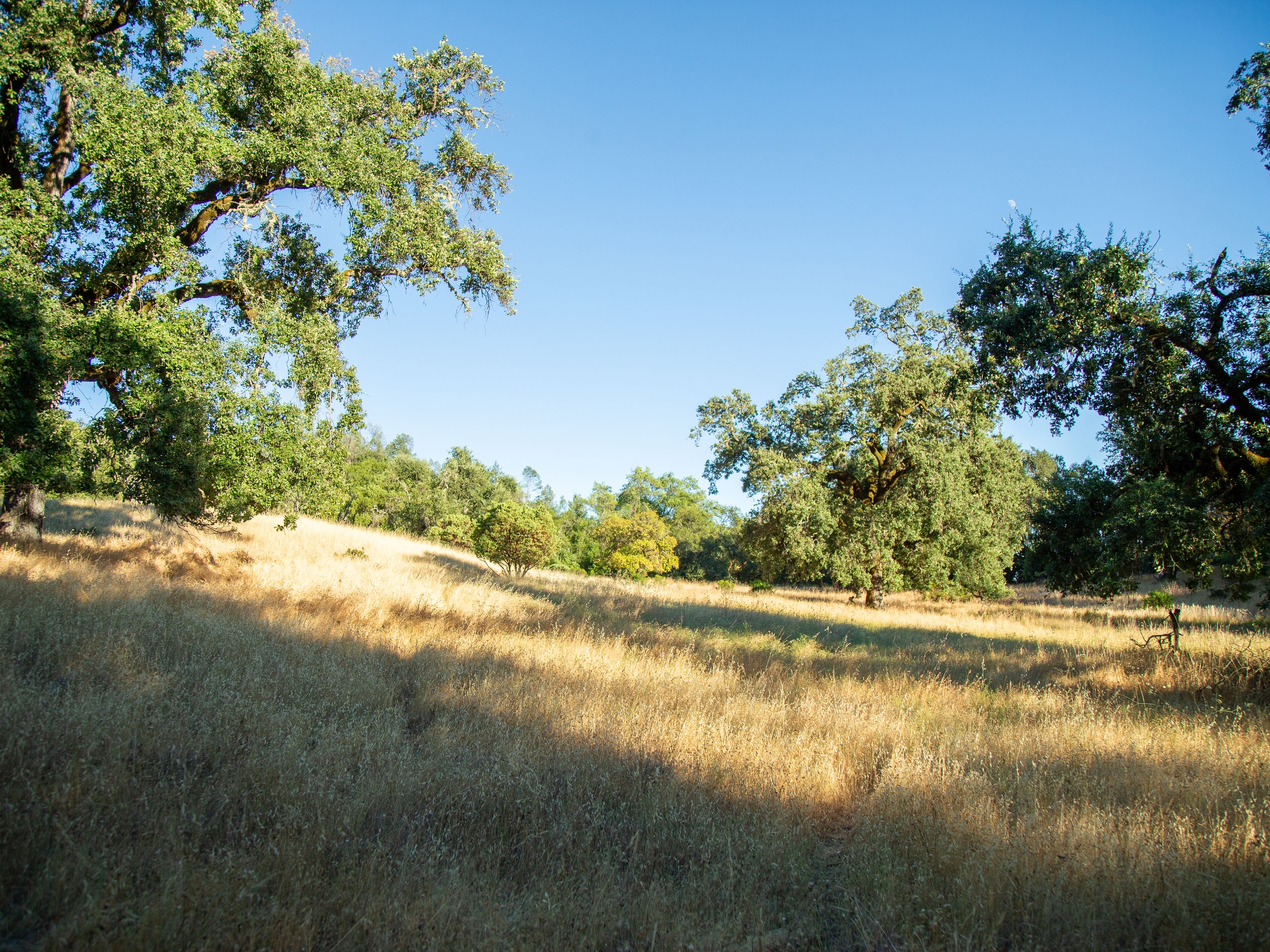  Very Rare Opportunity Alexander Valley Ranch - 物件實景