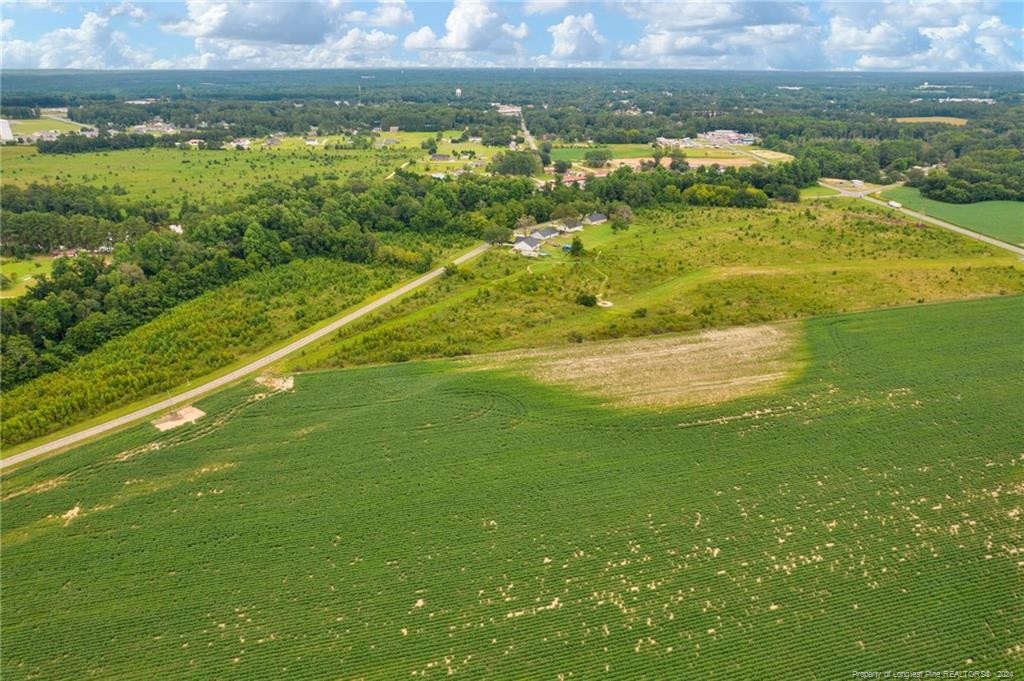 Wallace Mclean Road, Raeford, North Carolina, 28376, United States, ,Land,For Sale,Wallace Mclean Road,1660610