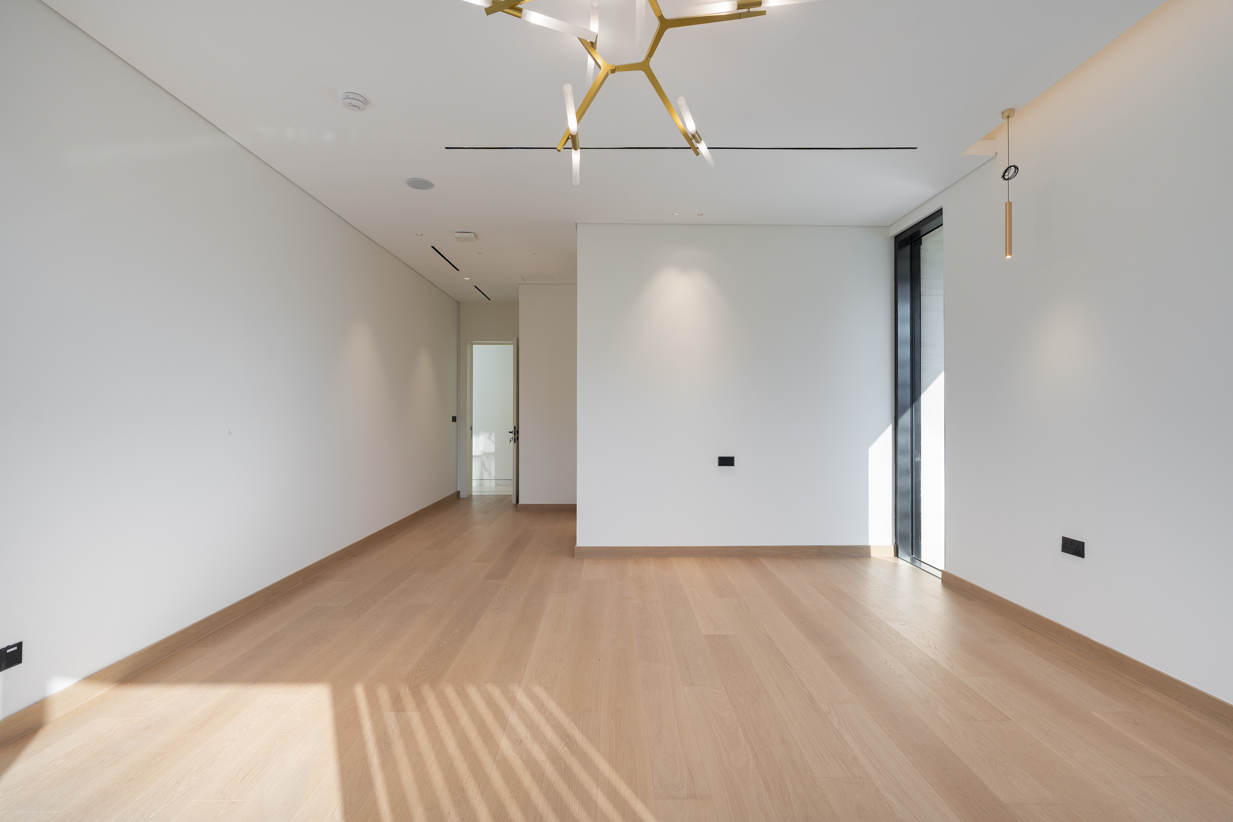  Brand New Modern Villa with Roof Top Terrace at Palm Jumeirah - 物件實景
