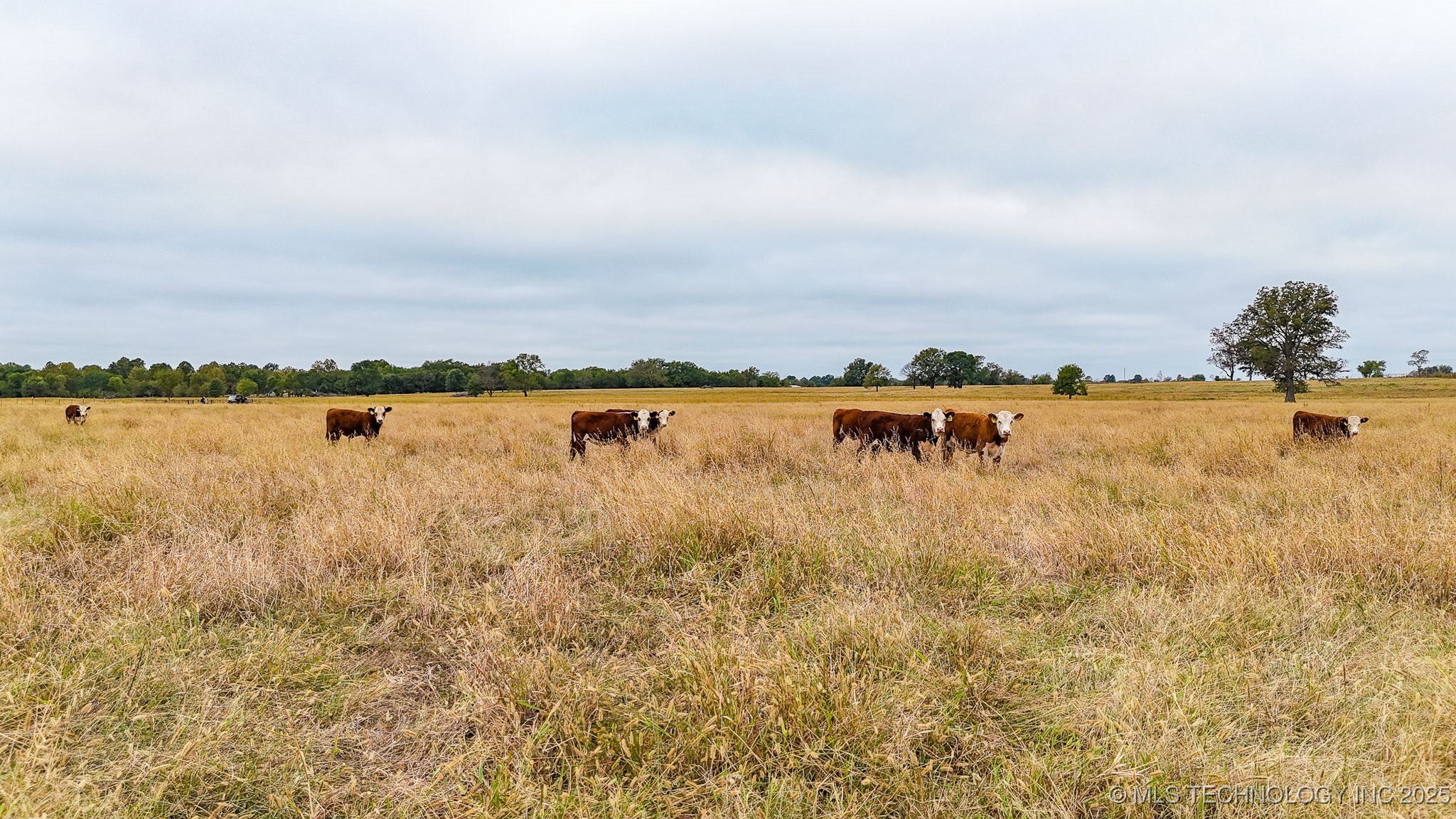 Haskell, Oklahoma, 74436, United States, ,Residential,For Sale,1989058