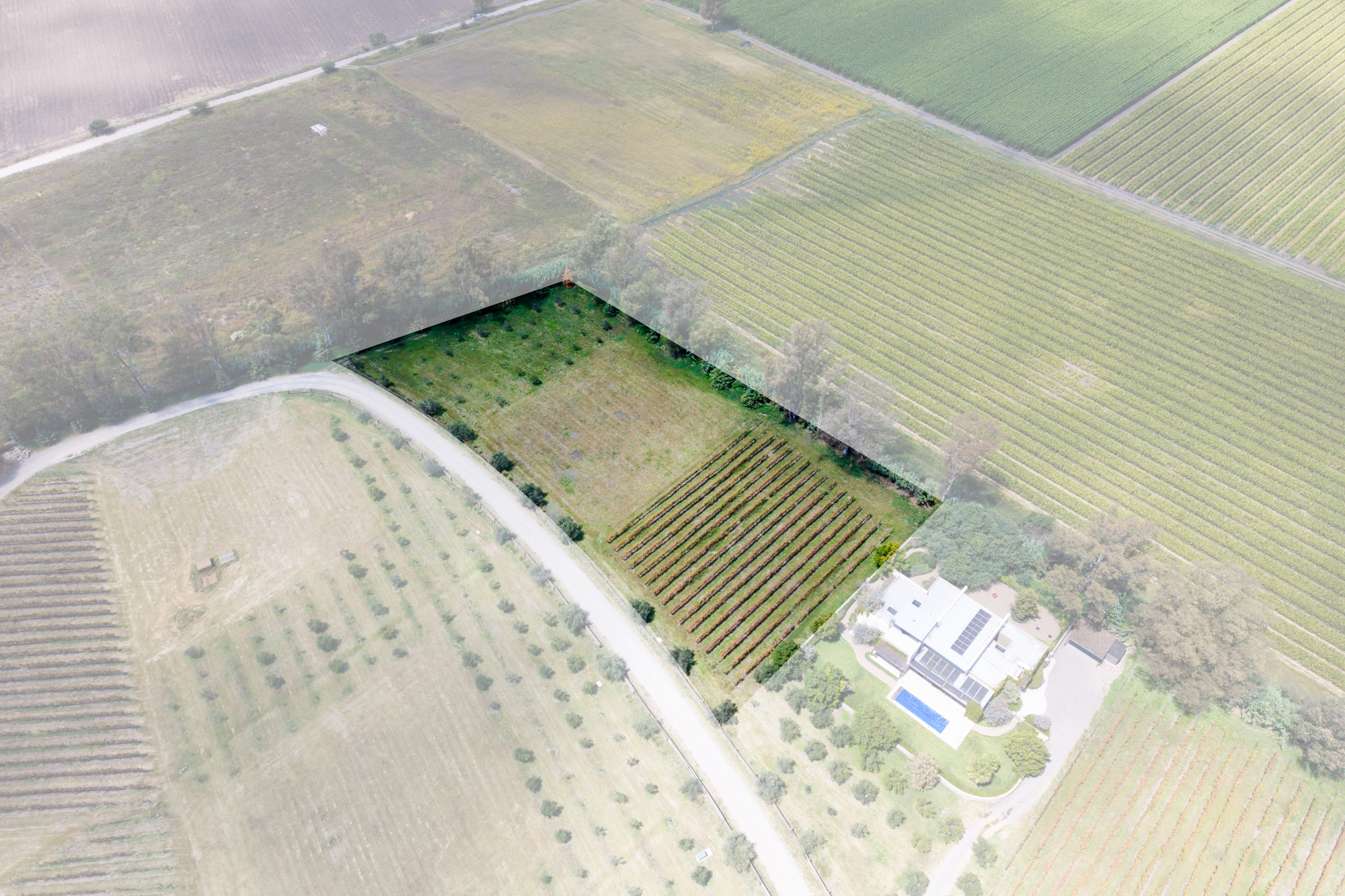  San Francisco Vineyards Lot 1 - 物件實景