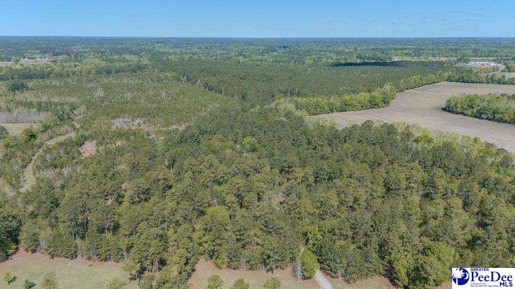 1315 Hill Harrell Road, Effingham, South Carolina, 29541-3179, United States, ,Land,For Sale,1315 Hill Harrell Road,1501598