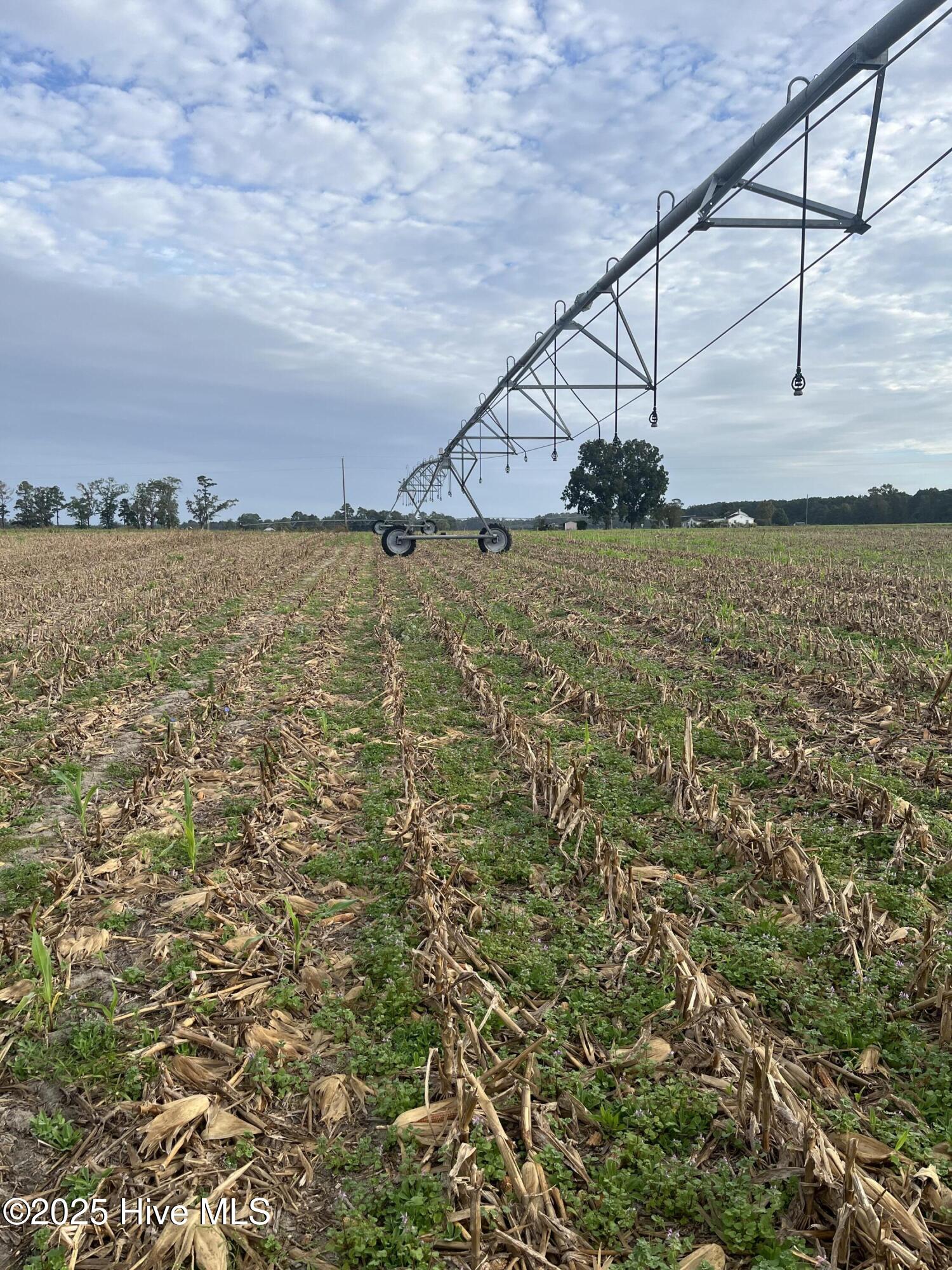 Trenton, North Carolina, 28585, United States, ,Land,For Sale,1963852