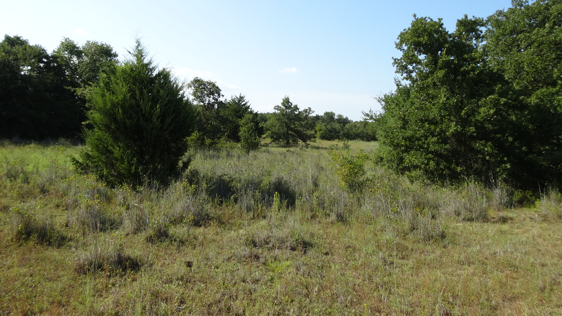 0 Highway 114, Boyd, Texas, 76023, United States, ,Residential,For Sale,0 Highway 114,1008641