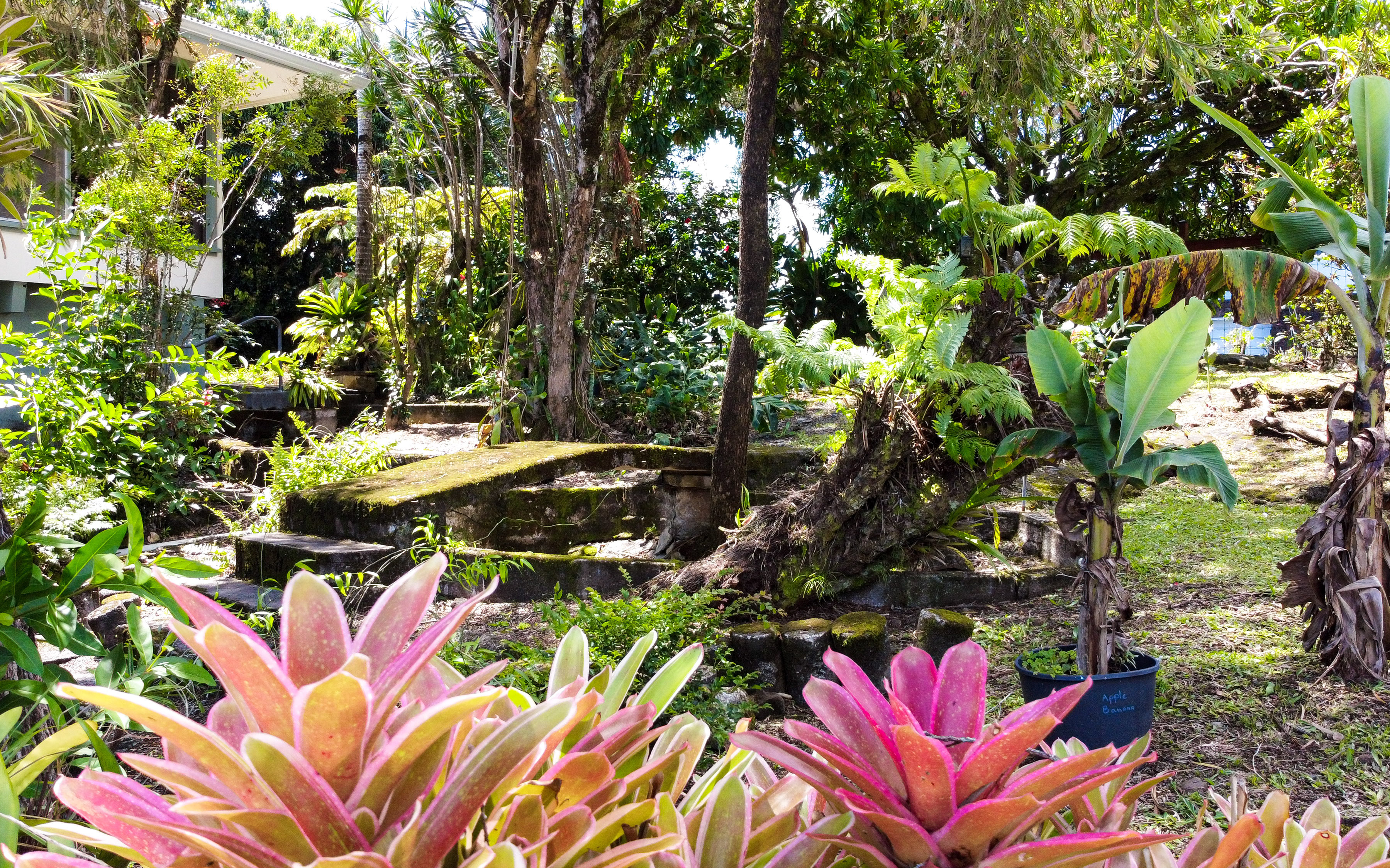  107 Kaikuono Street, Hilo, HI 96720 - 物件實景