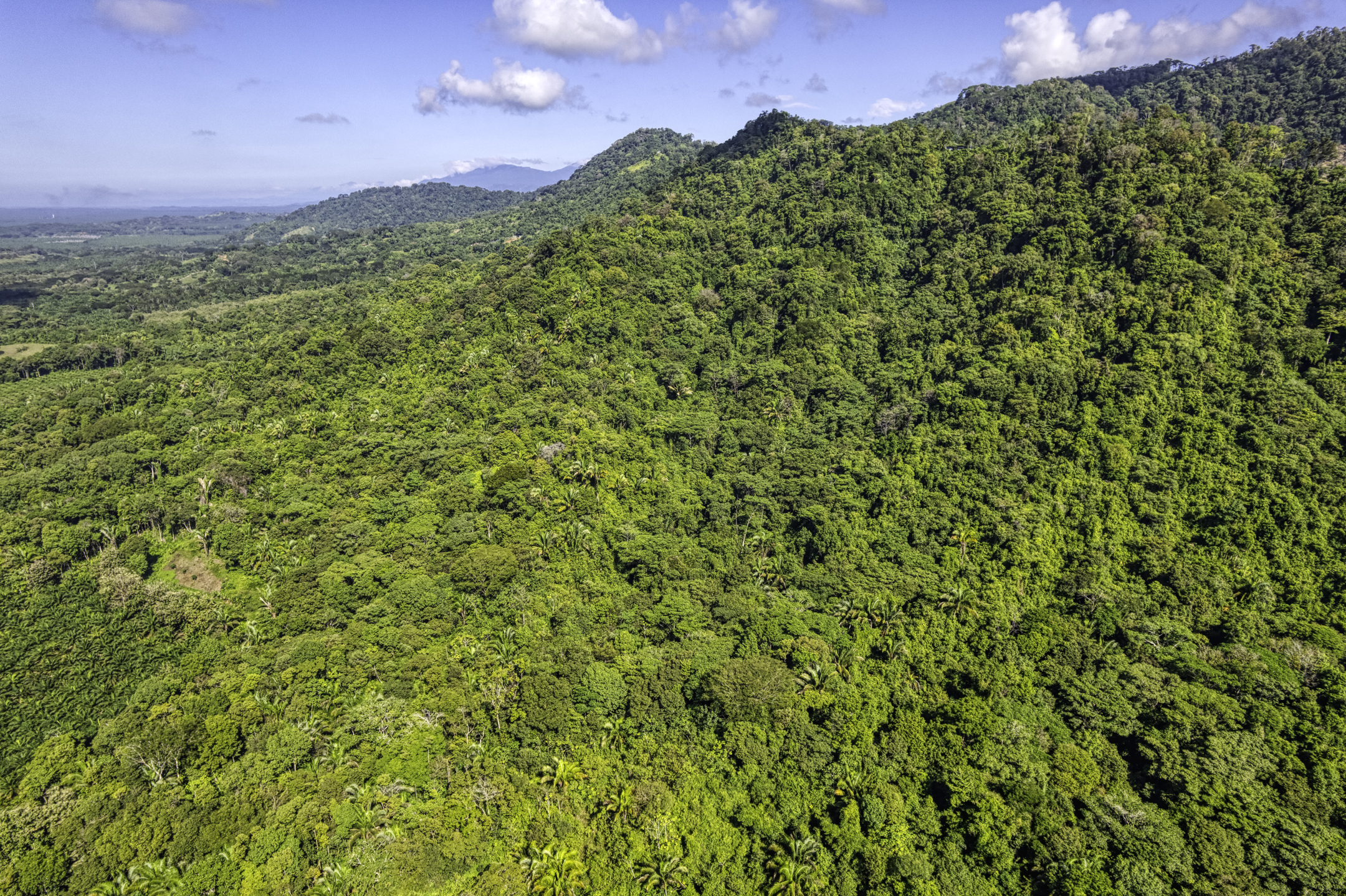 Portalon, Dominical, Puntarenas, CR, ,Land,For Sale,Portalon,1586164