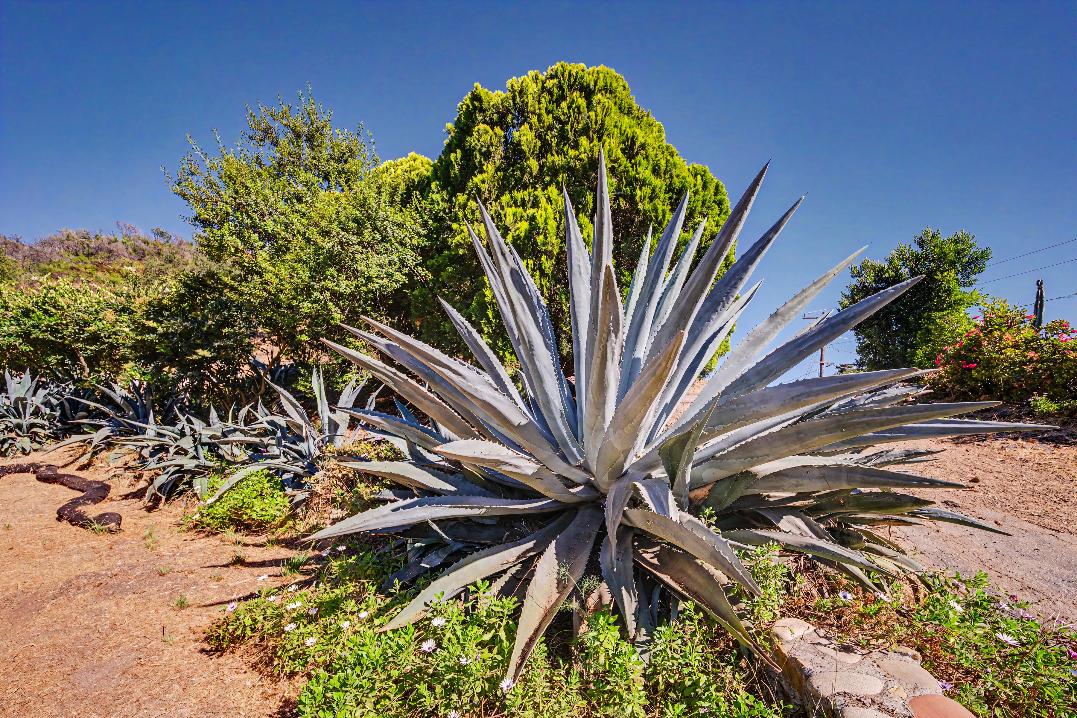  2188 Tuna Canyon Rd - 物件實景