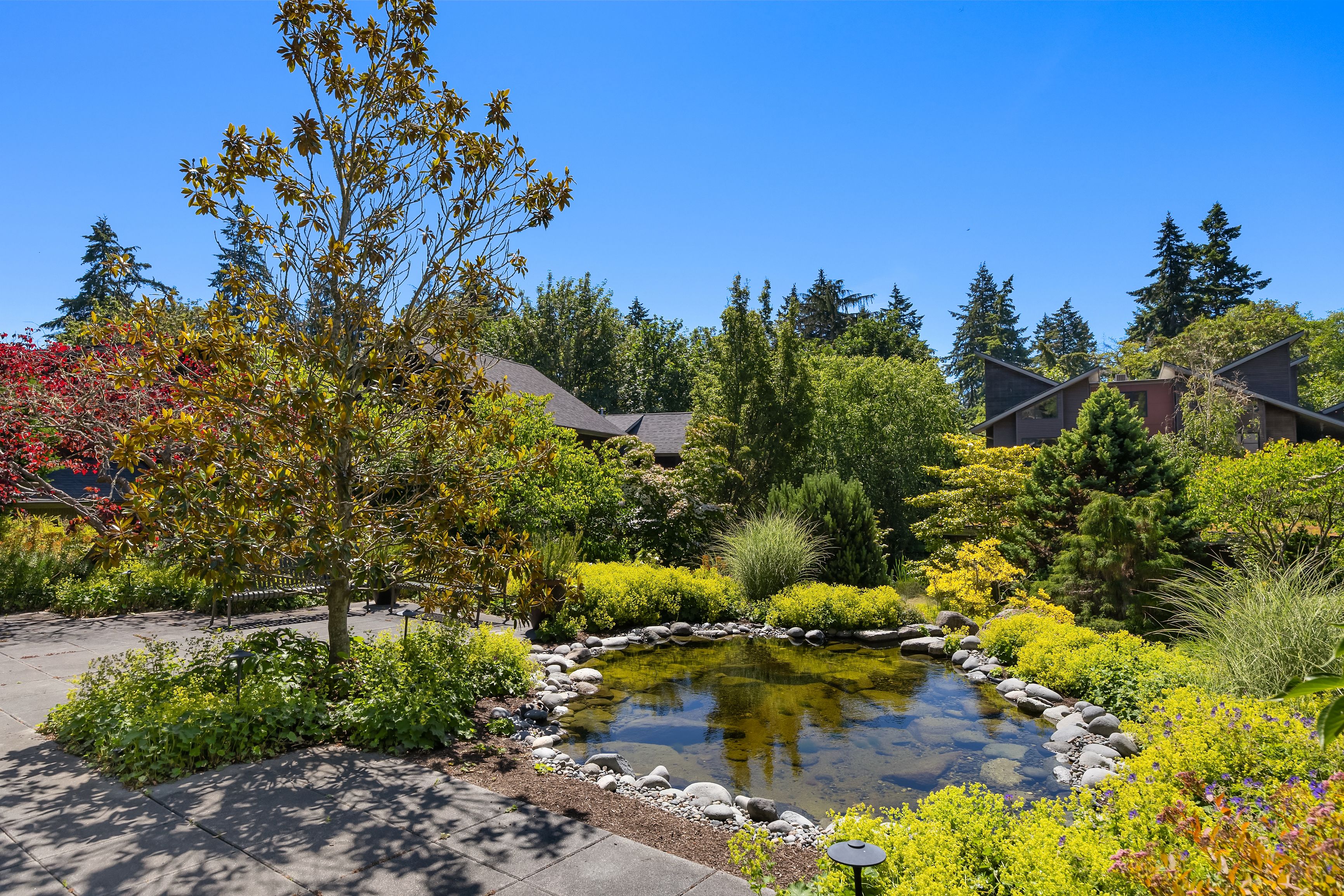  620 Northeast Vineyard Lane B-203, Bainbridge Island, WA 98110 - 物件實景