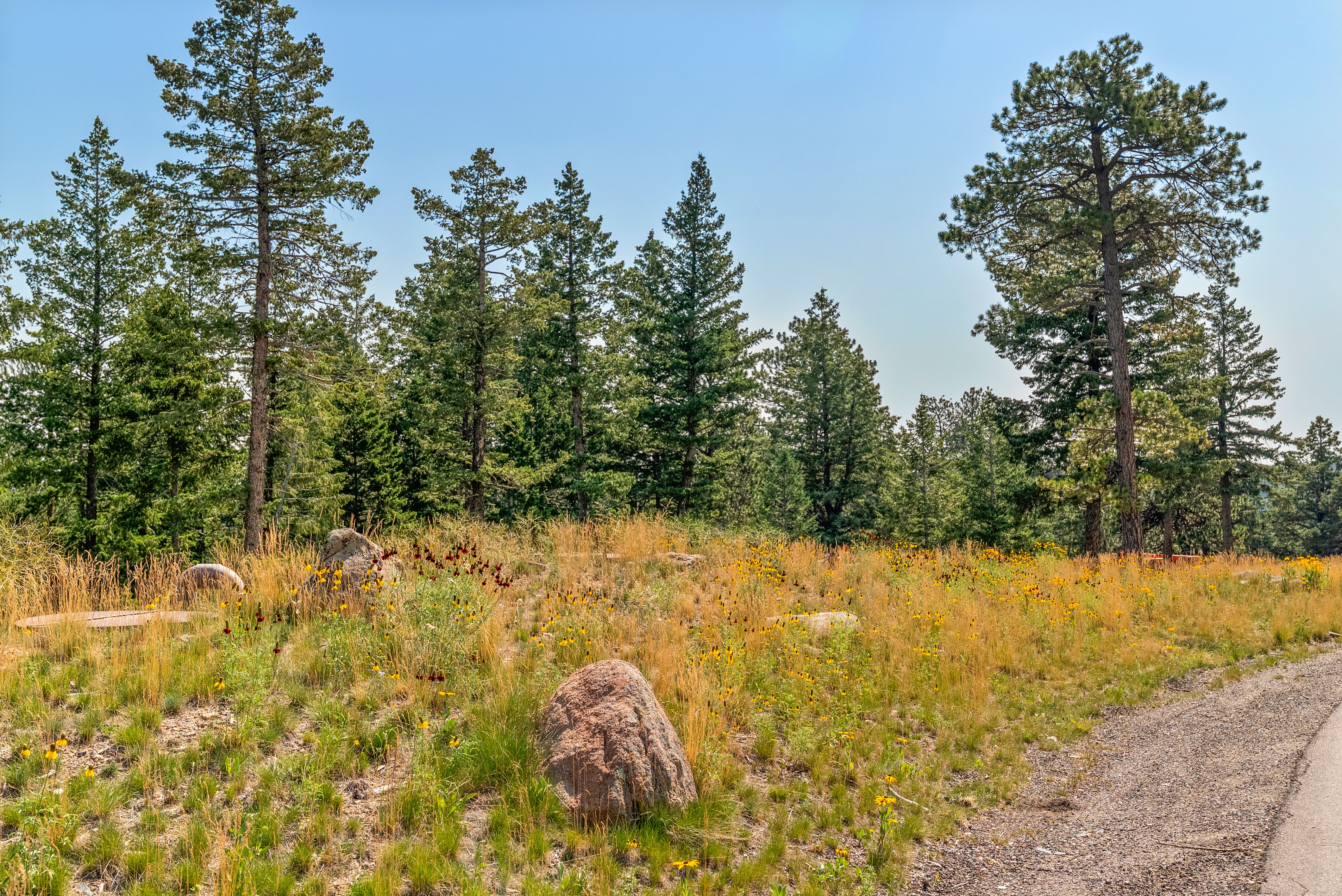  Acreage Available in Evergreen