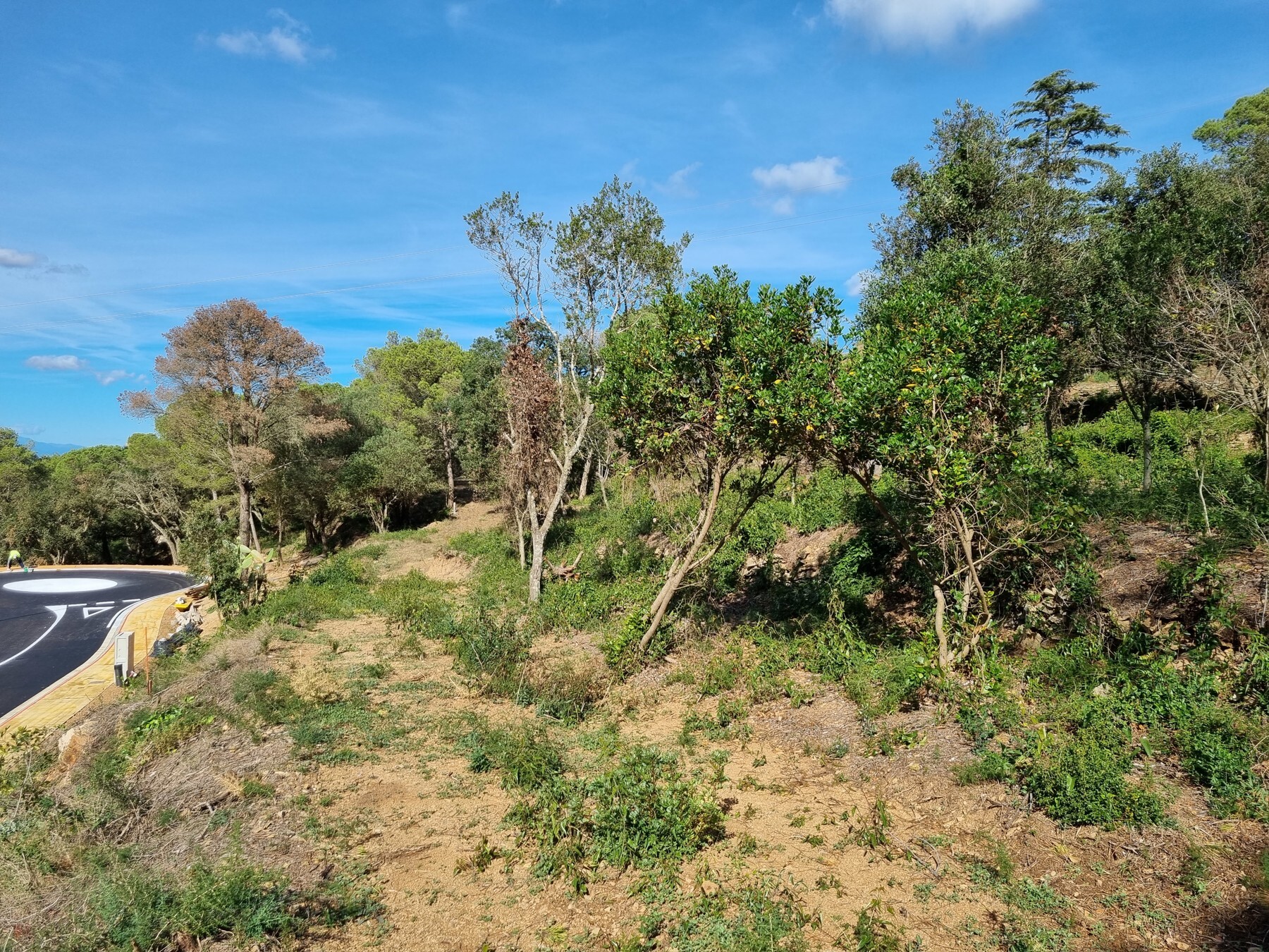 Fantastic south facing plot in the village of Begur - 物件實景