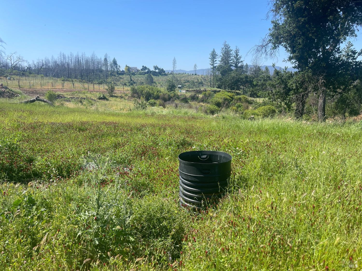 St. Helena, California, 94574, United States, ,Residential,For Sale,1793007