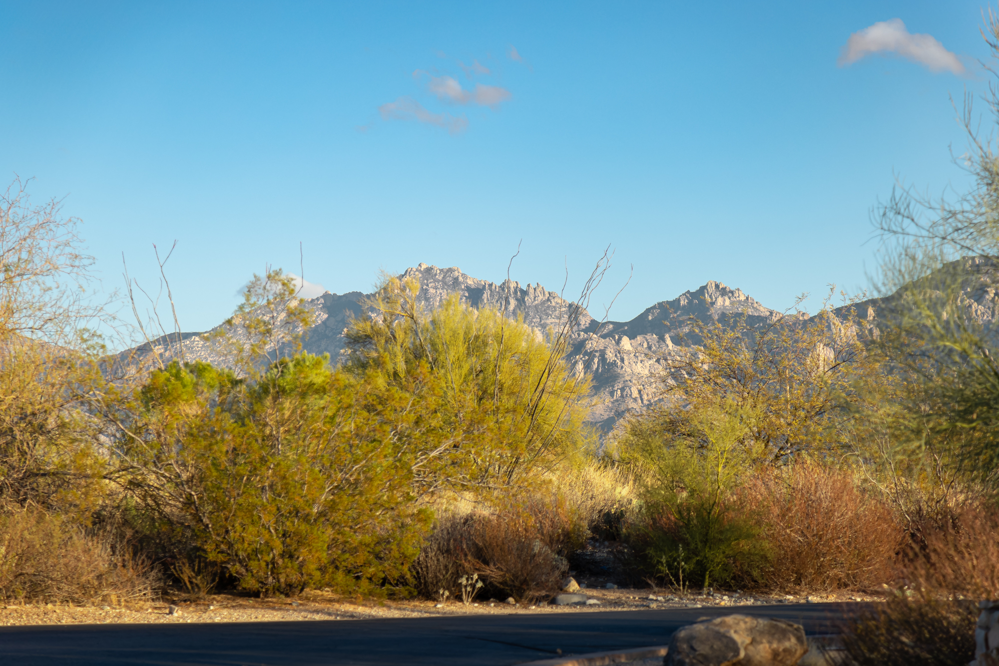  14191 N Giant Saguaro Place¦Oro Valley, AZ - 物件實景