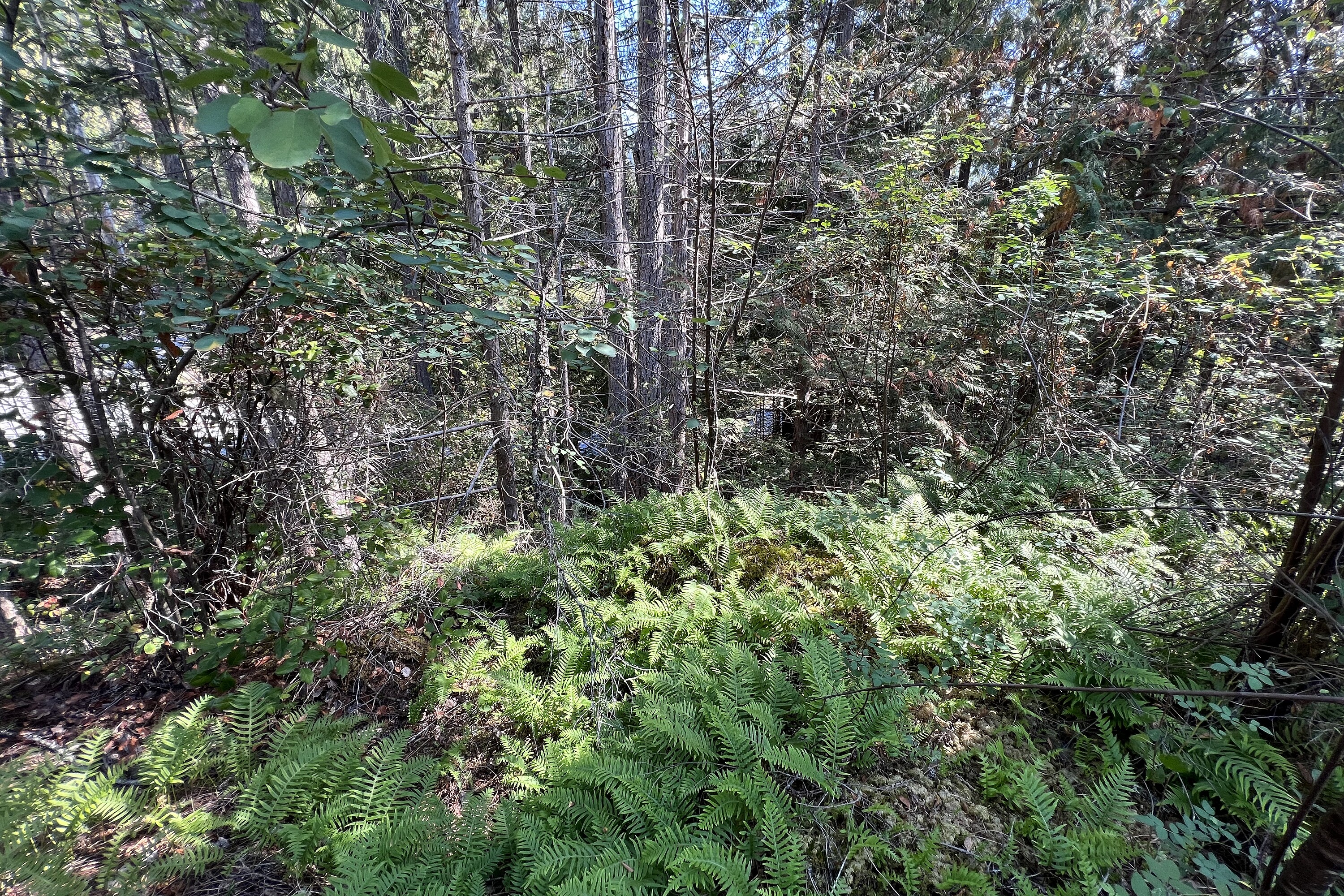  Sechelt, Sunshine Coast - 物件實景