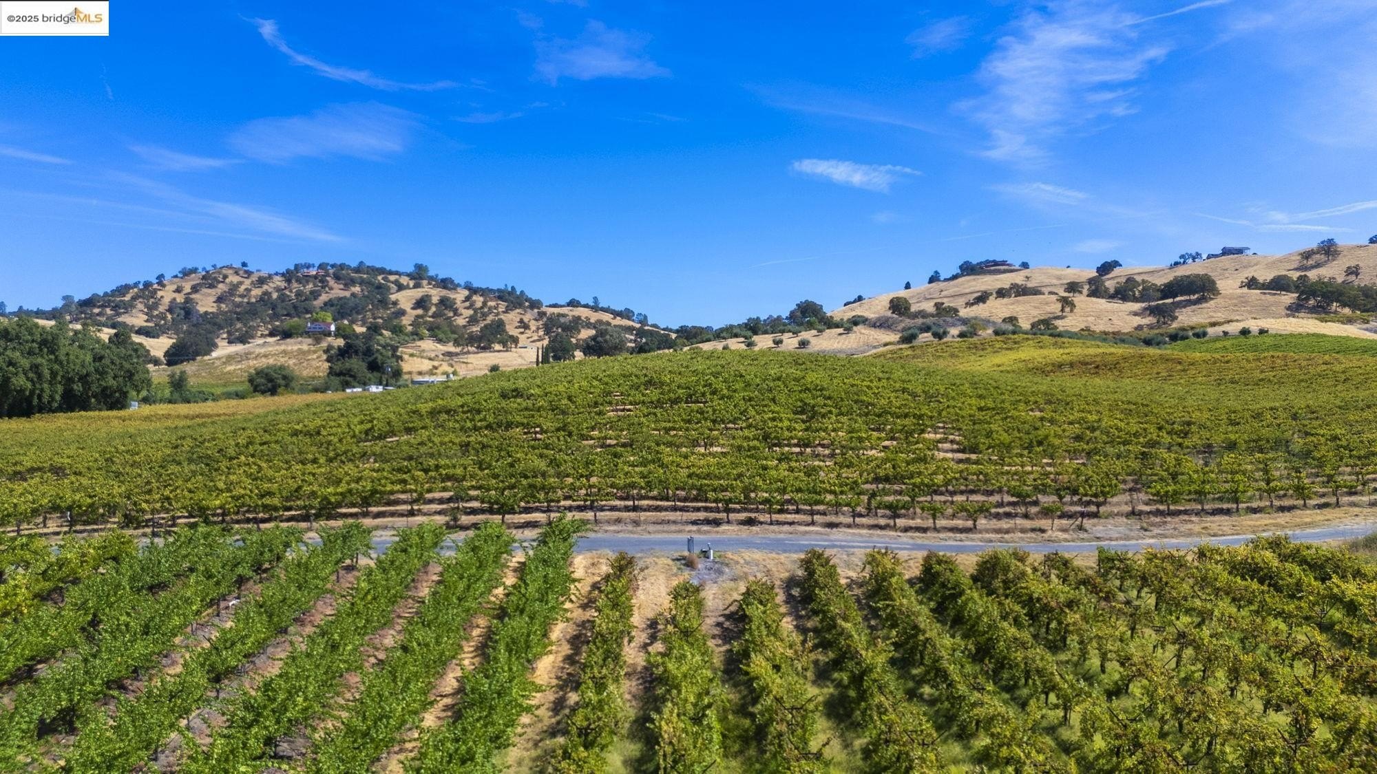 Murphys, California, 95247, United States, ,Land,For Sale,1975931