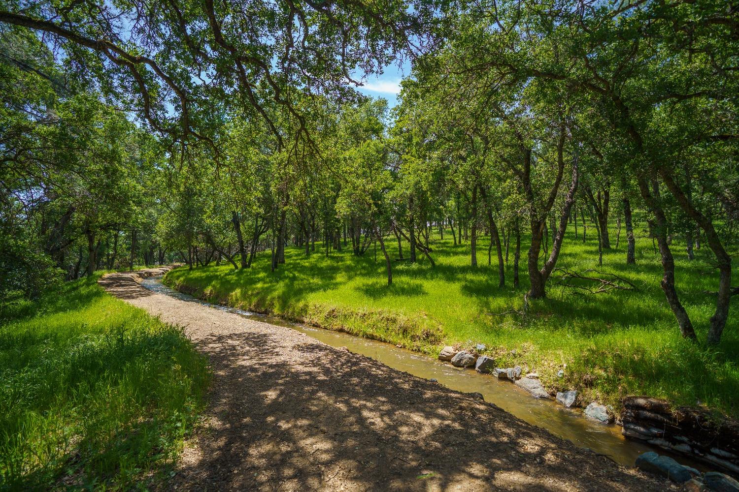Lincoln, California, 95648, United States, ,Land,For Sale,1784125
