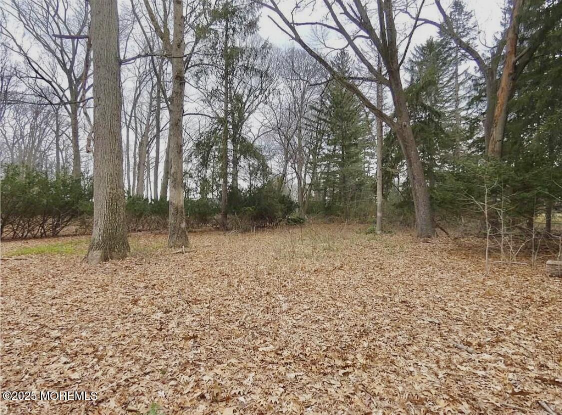 Monroe, New Jersey, 08831, United States, ,Land,For Sale,1932074