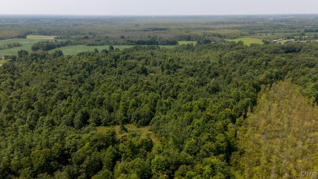 00 Cr-12, Pennellville, New York, 13132, United States, ,Land,For Sale,00 Cr-12,1621343