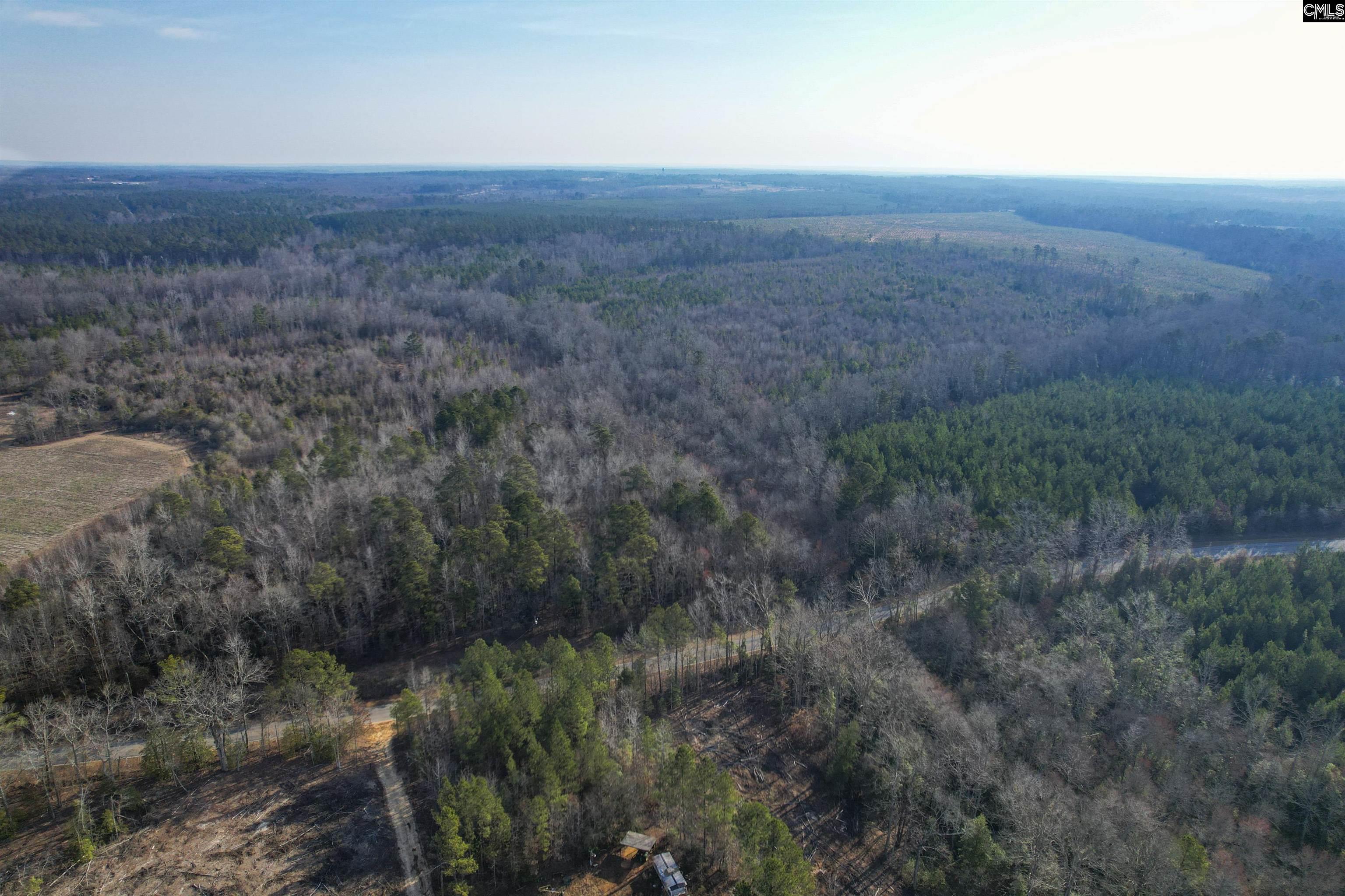 703 Neds Creek Road, Kershaw, South Carolina, 29067, United States, ,Land,For Sale,703 Neds Creek Road,1669372