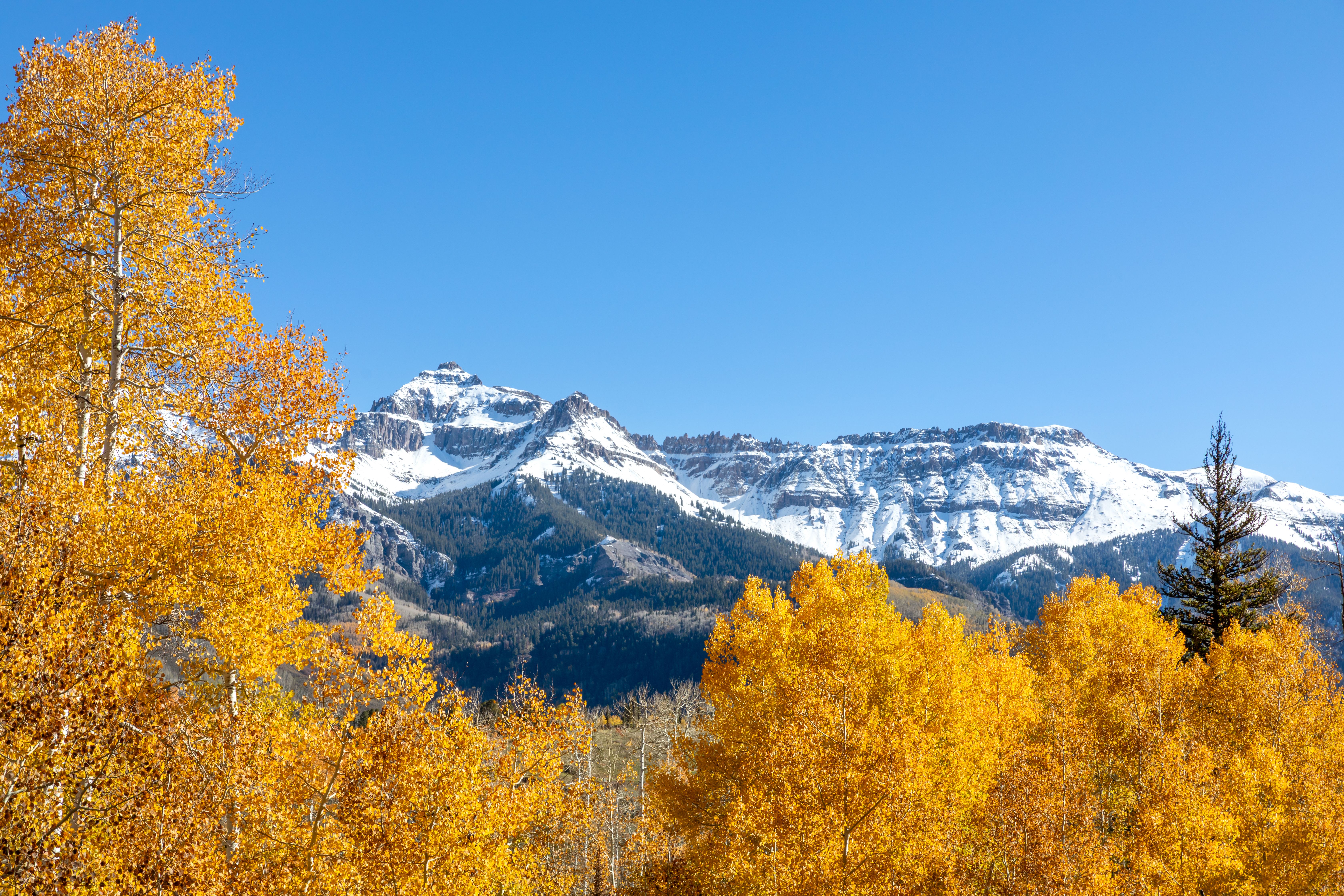  Set Among The Aspens On Just Over An Acre - 物件實景