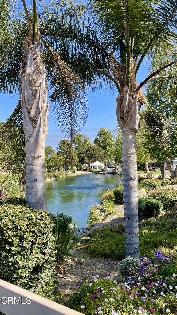 Ventura, California, 93003, United States, 3 Bedrooms Bedrooms, ,2 BathroomsBathrooms,Residential,For Sale,1980962