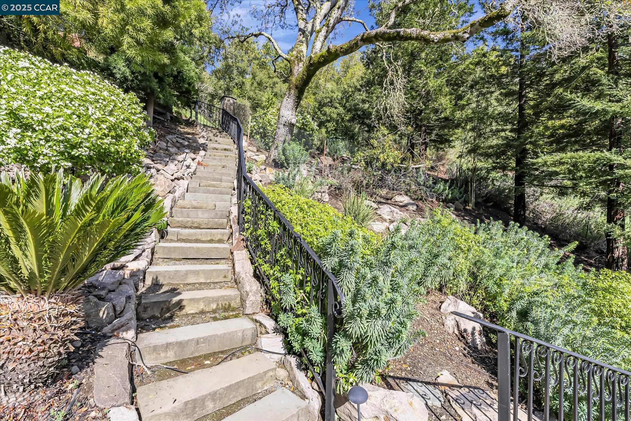 Orinda, California, 94563, United States, 4 Bedrooms Bedrooms, ,3 BathroomsBathrooms,Residential,For Sale,1942237