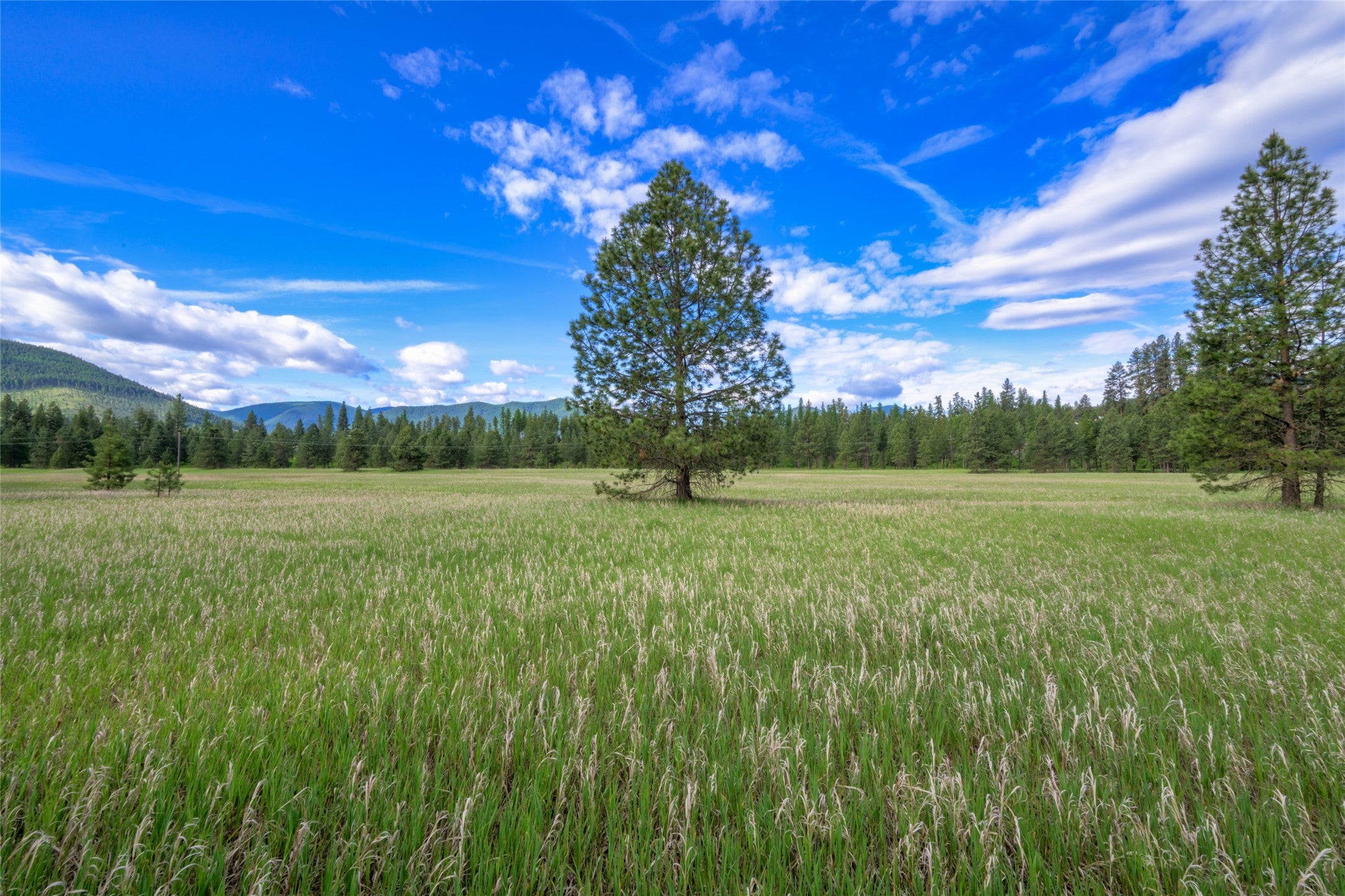 St Regis, Montana, 59866, United States, ,Land,For Sale,1848990