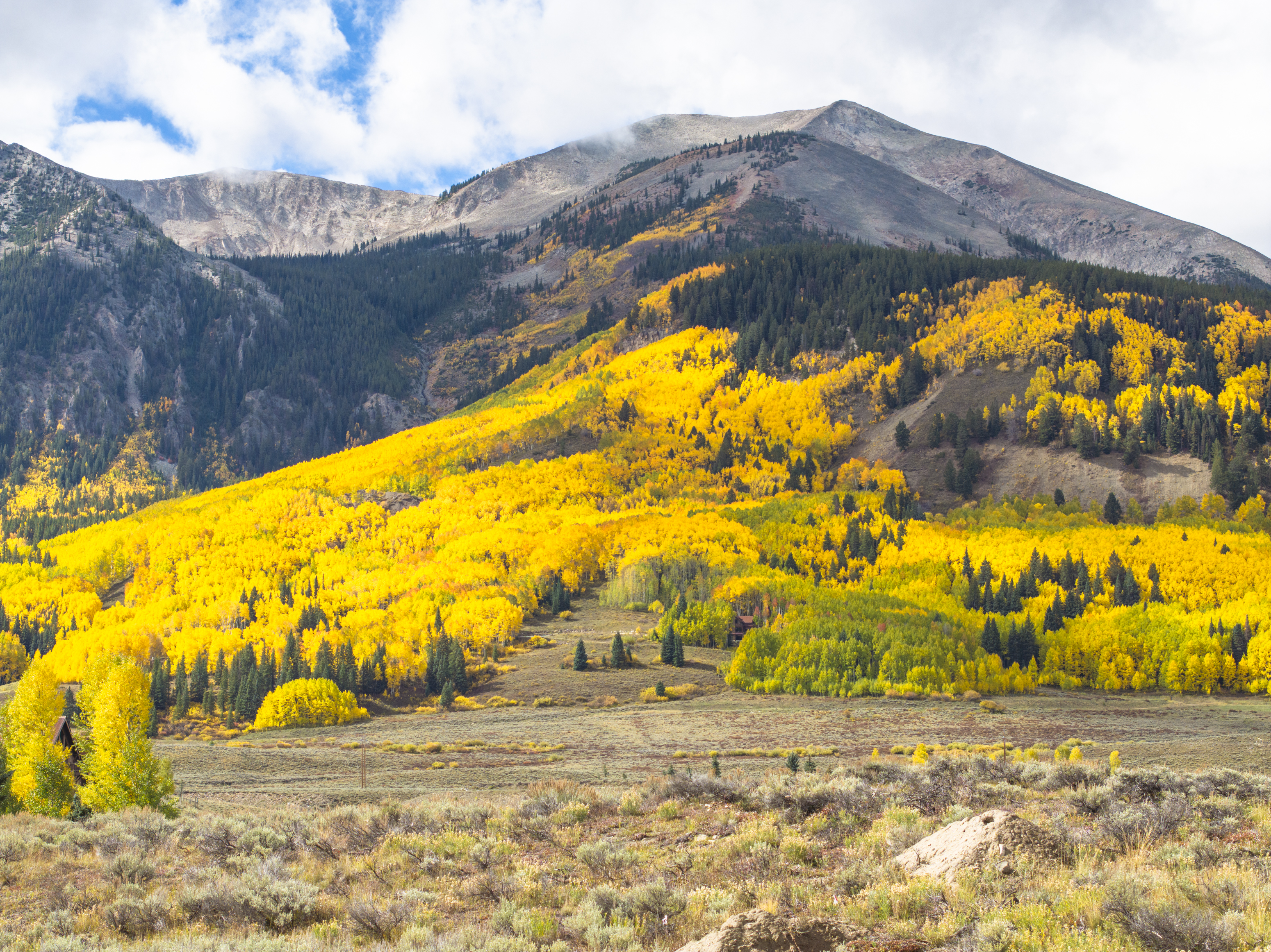  A Crested Butte Property Worth Seeing - 物件實景