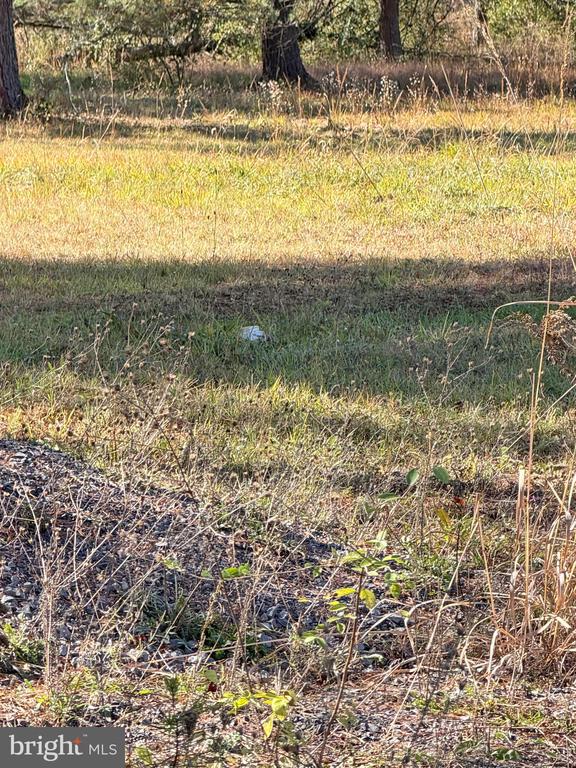 Bloomery, West Virginia, 26817, United States, 3 Bedrooms Bedrooms, ,2 BathroomsBathrooms,Residential,For Sale,1980909