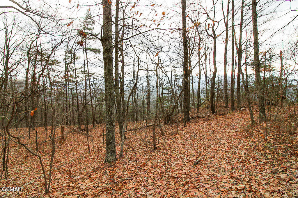 Sevierville, Tennessee, 37876, United States, ,Land,For Sale,2008093