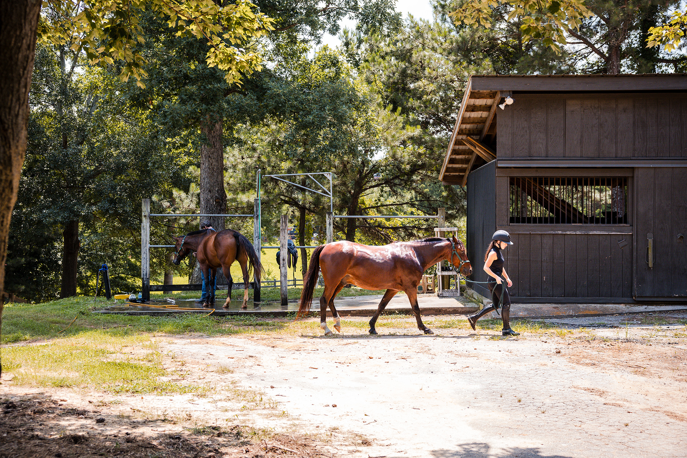  Rare Equestrian Facility with Prestigious Address - 物件實景