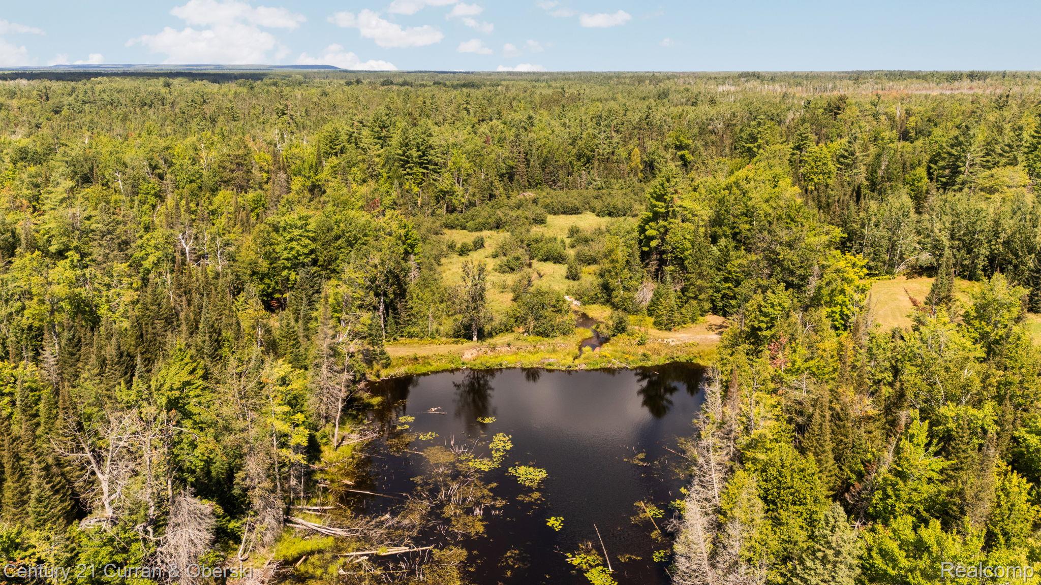 Onaway, Michigan, 49765, United States, 4 Bedrooms Bedrooms, ,2 BathroomsBathrooms,Residential,For Sale,1980098