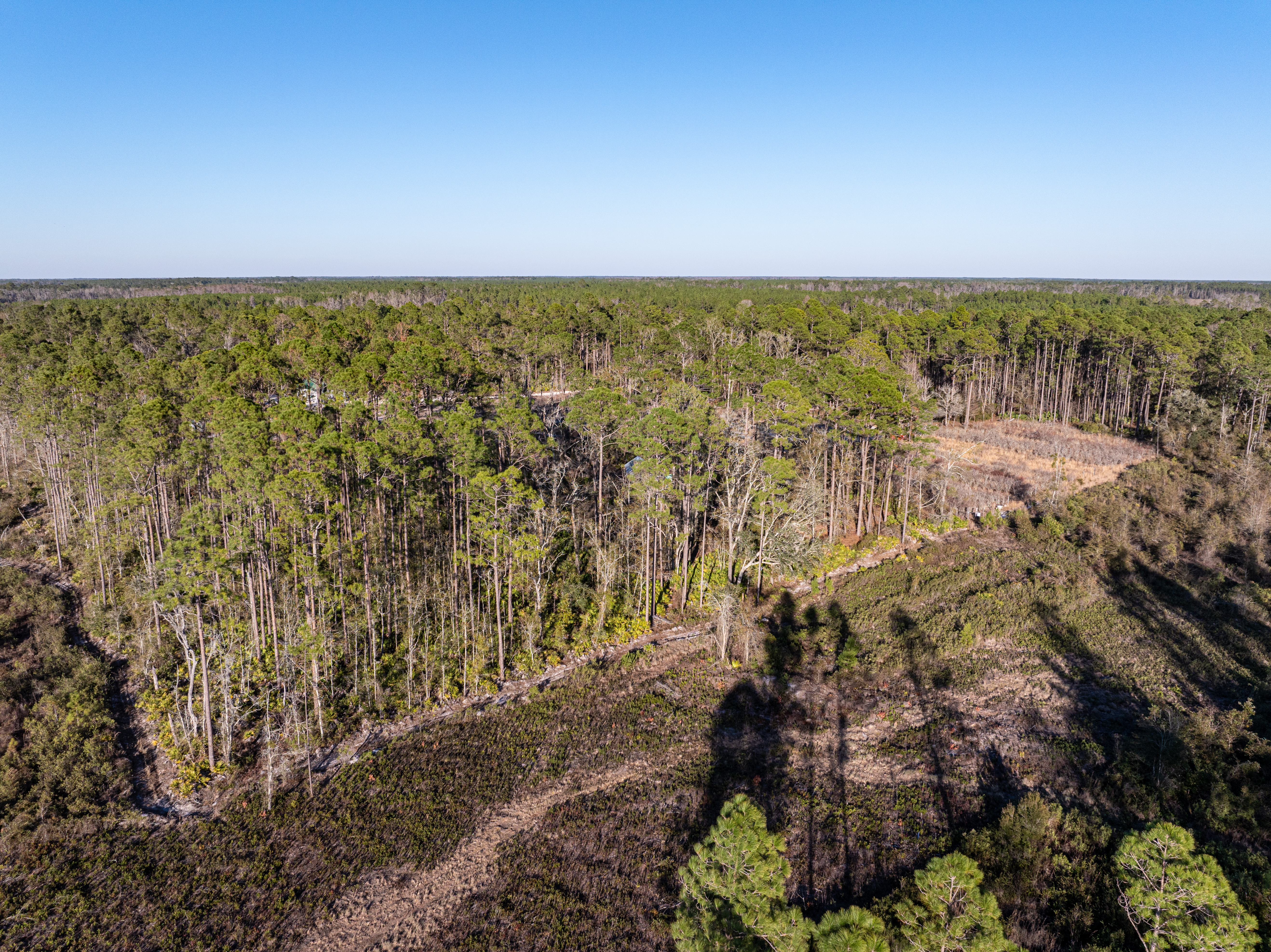 2418 NE OMAR TER, Lake City, Florida, 32055, United States, ,Land,For Sale,2418 NE OMAR TER,1680072