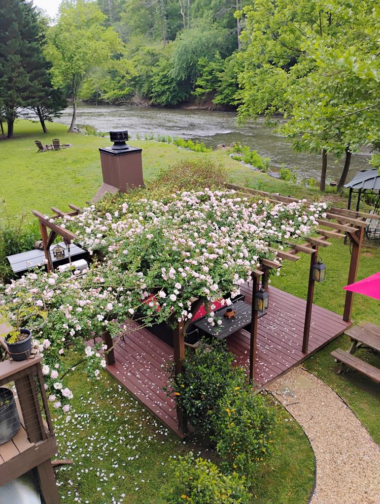 Ellijay, Georgia, 30540, United States, 3 Bedrooms Bedrooms, ,3 BathroomsBathrooms,Residential,For Sale,2034998