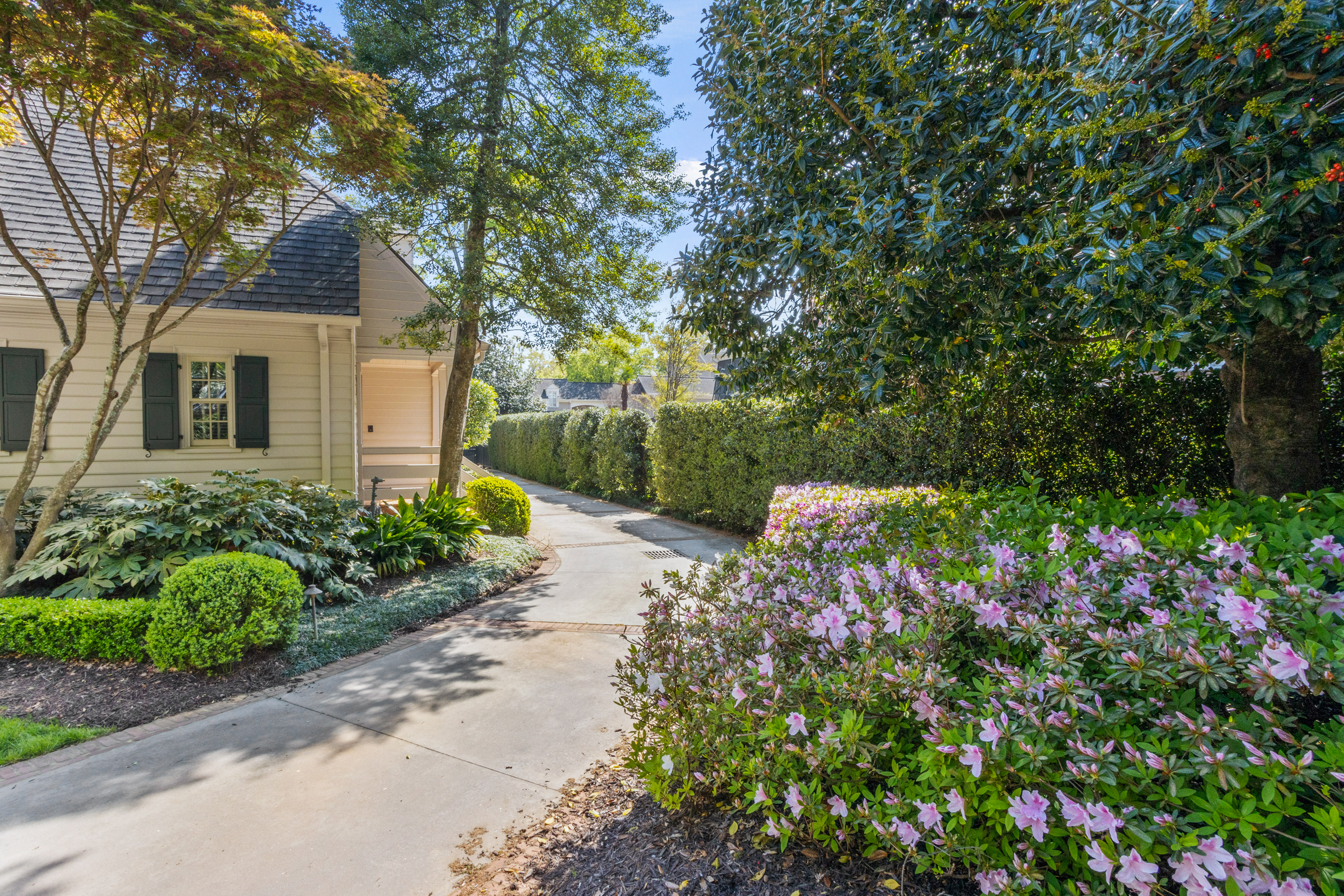  540 Crescent Avenue, Greenville, SC 29601 - 物件實景