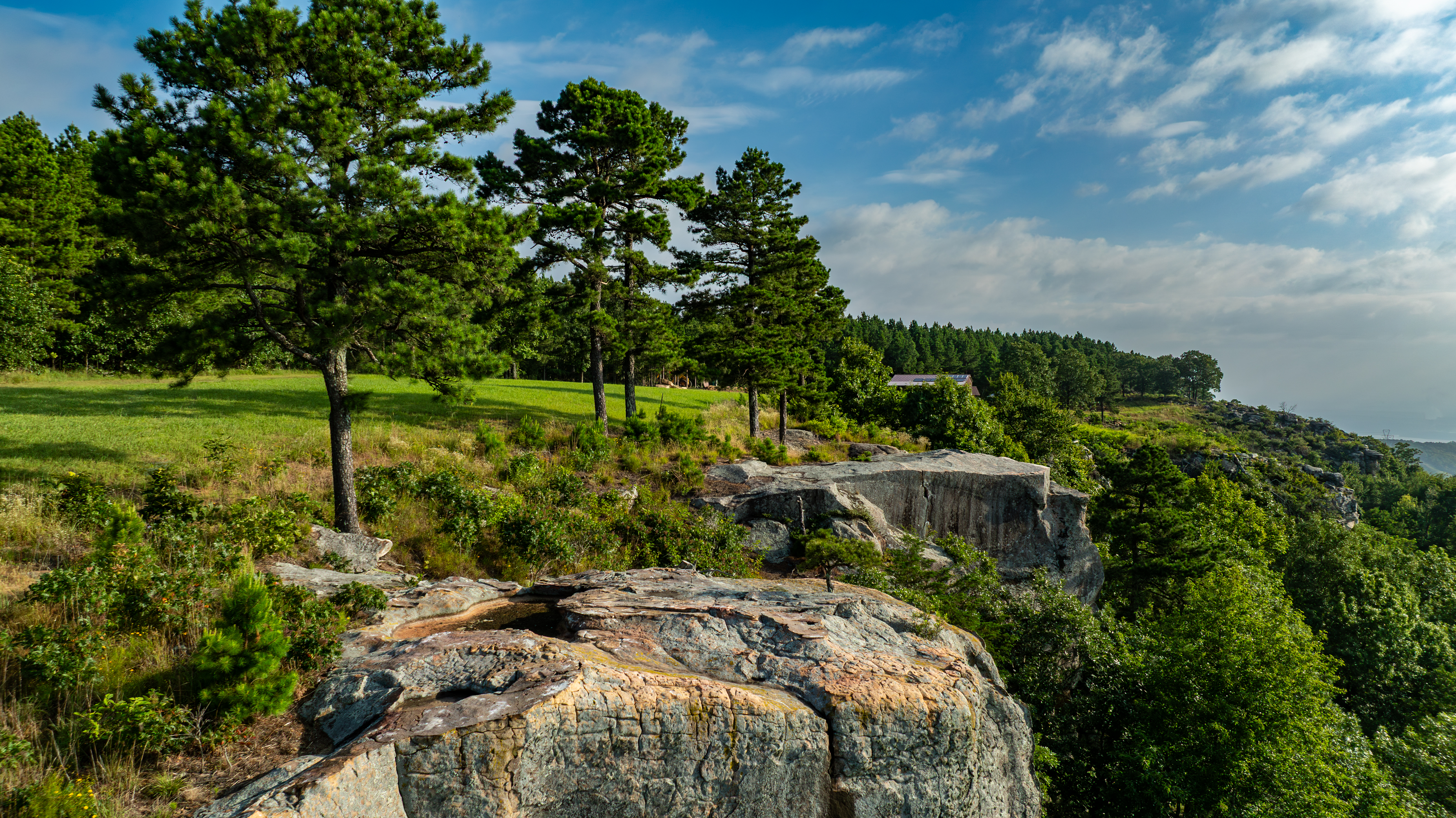  11334 Pool Hollow, Dardanelle, AR, 72834 - 物件實景