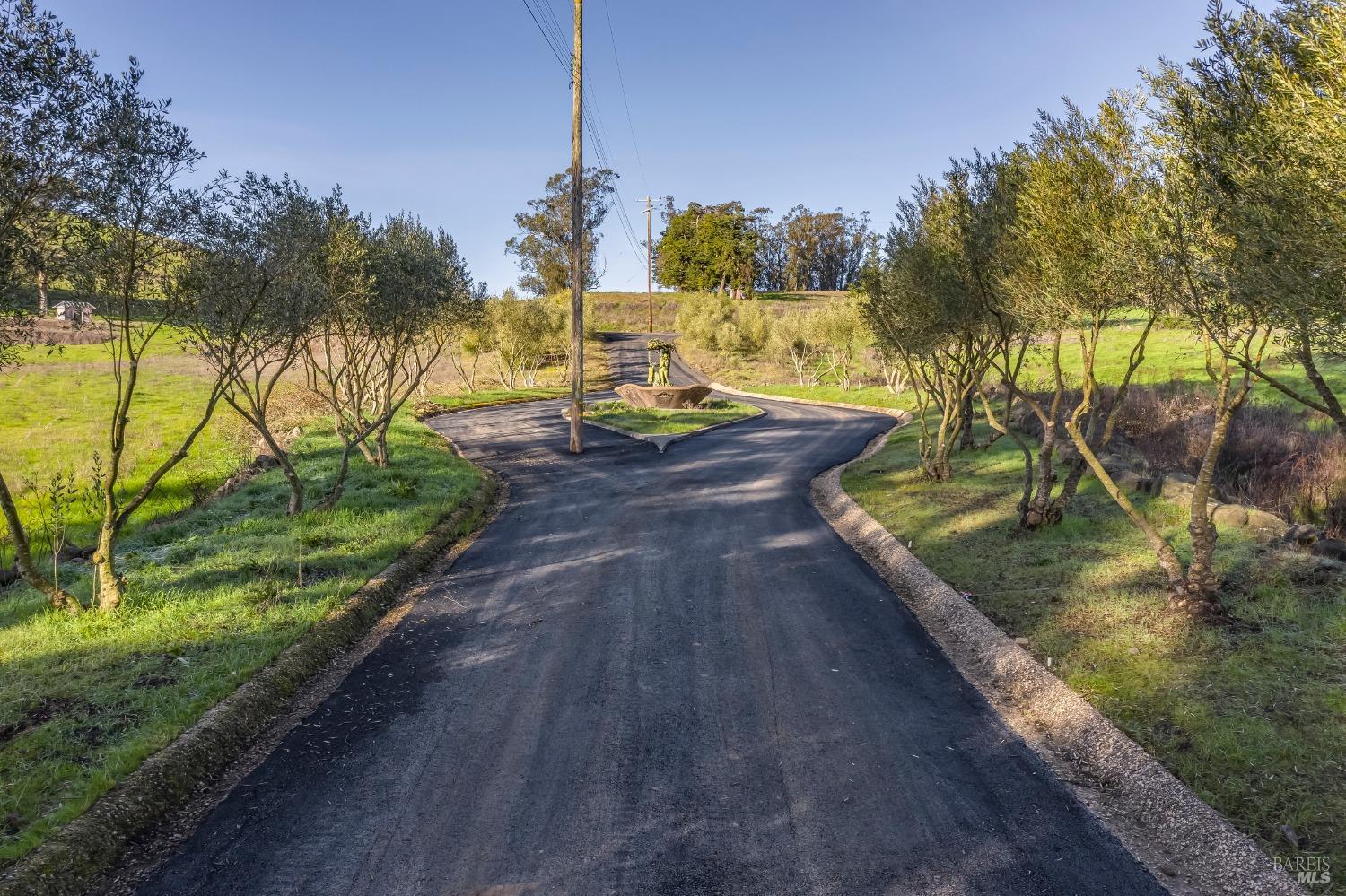 Penngrove, California, 94951, United States, ,Land,For Sale,1708043