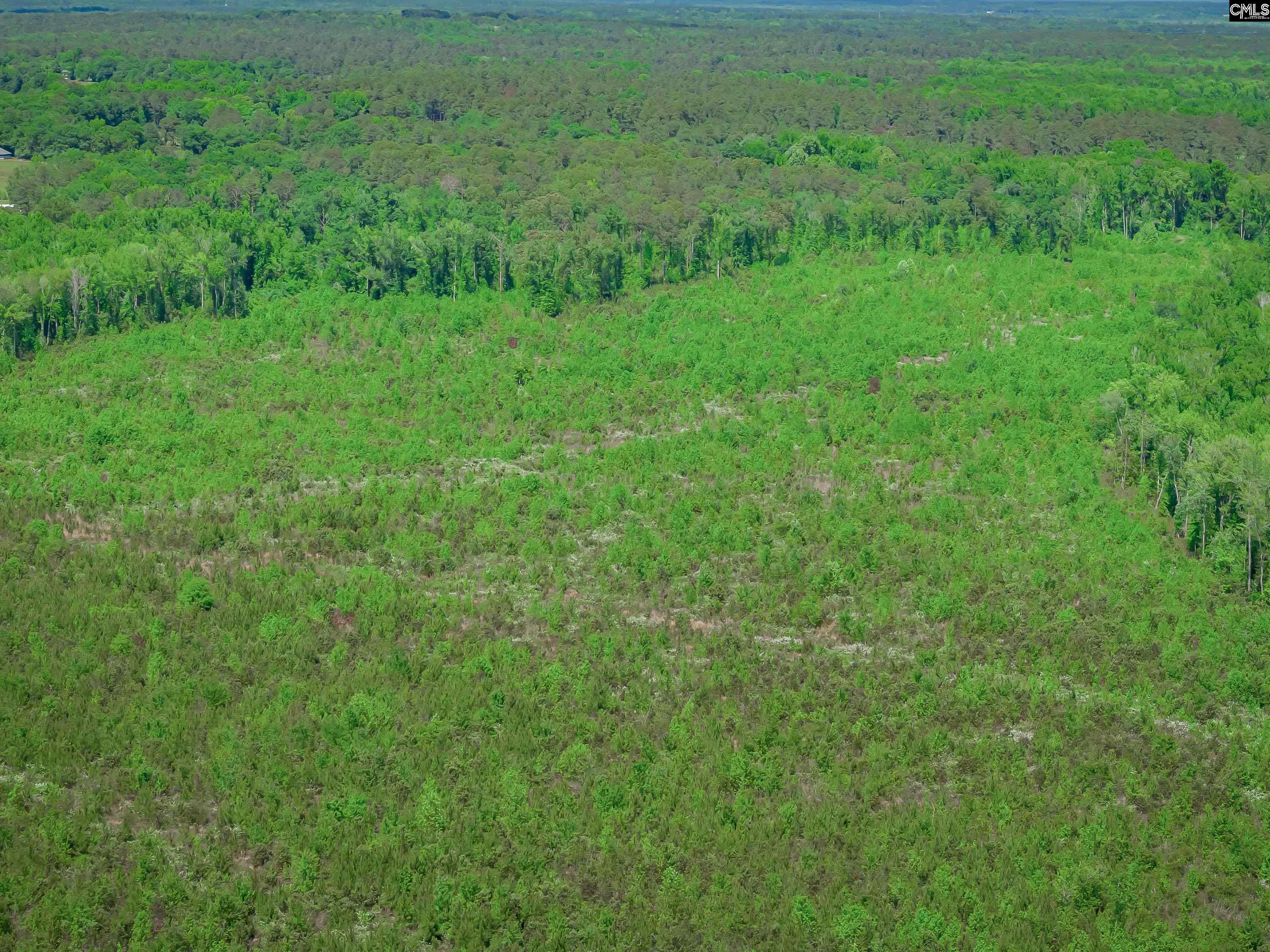  377 Sweet Street  Rembert, SC - 物件實景