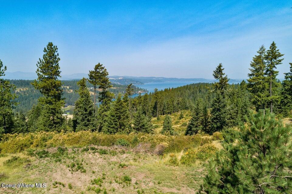 Harrison, Idaho, 83833, United States, ,Land,For Sale,2024065