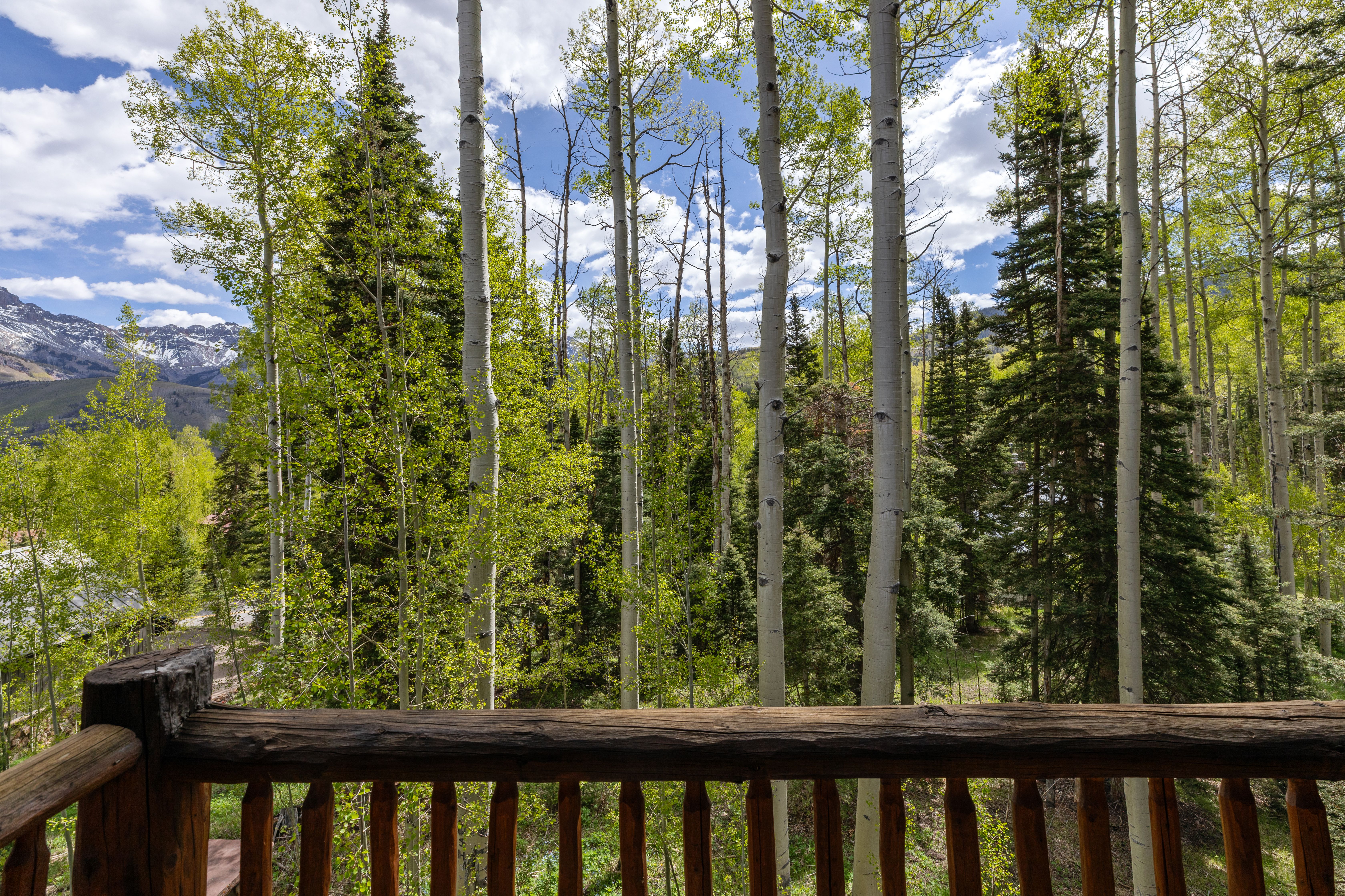  Fractional Ownership Opportunity in Mountain Village - 物件實景