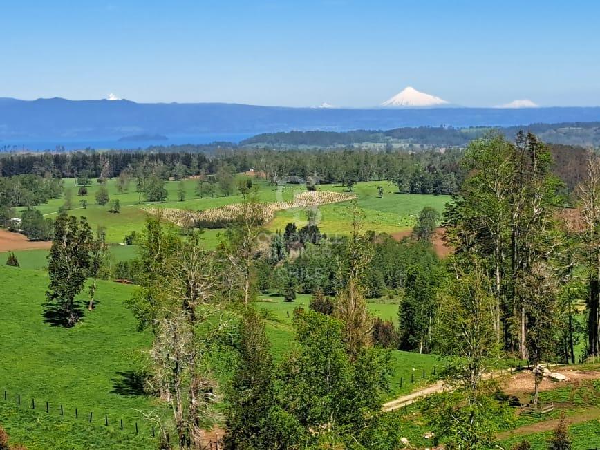 Futrono, Chile, 4 Bedrooms Bedrooms, ,3 BathroomsBathrooms,Residential,For Sale,1966703