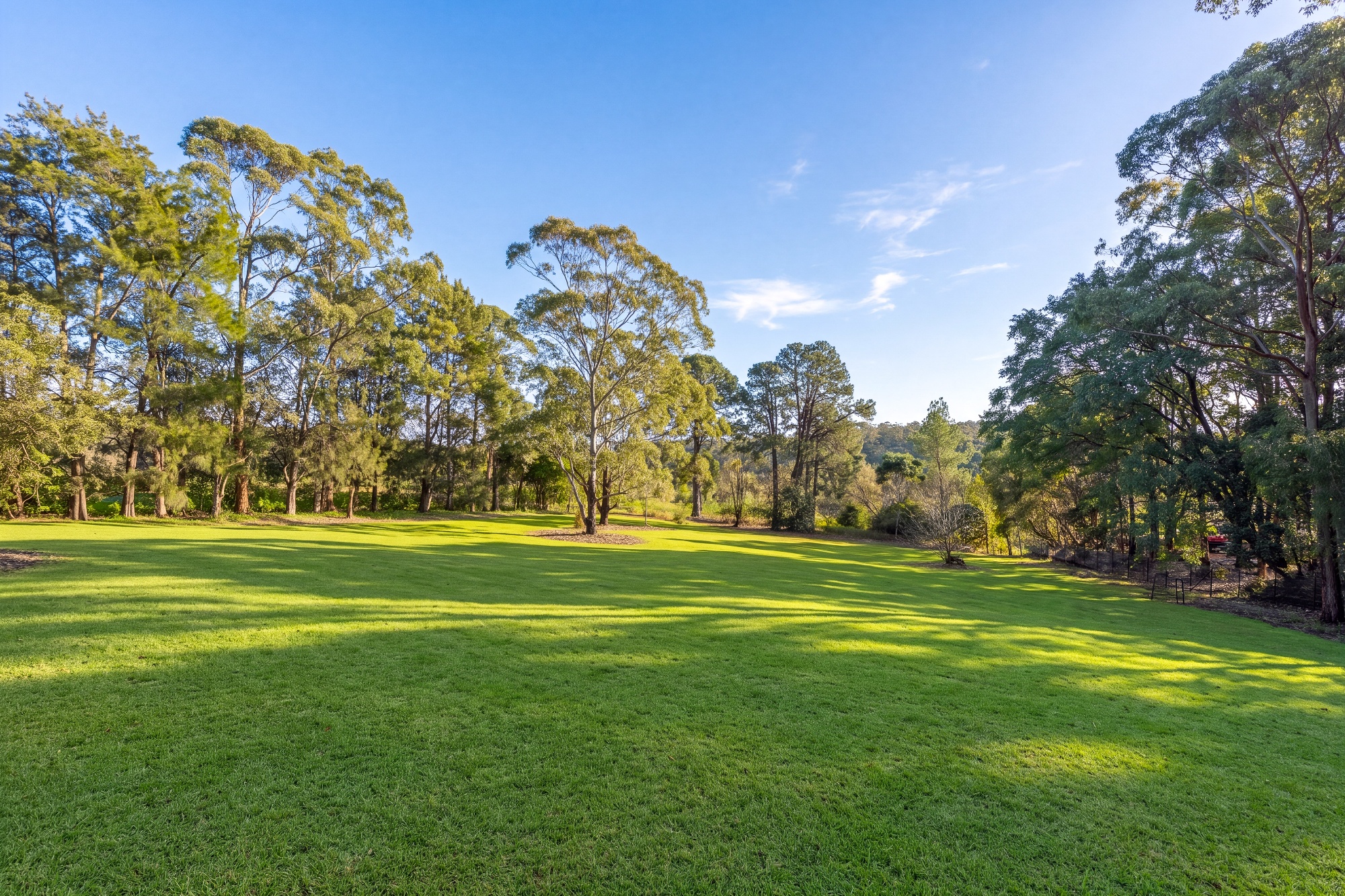  19 Myoora Road, Terrey Hills - 物件實景