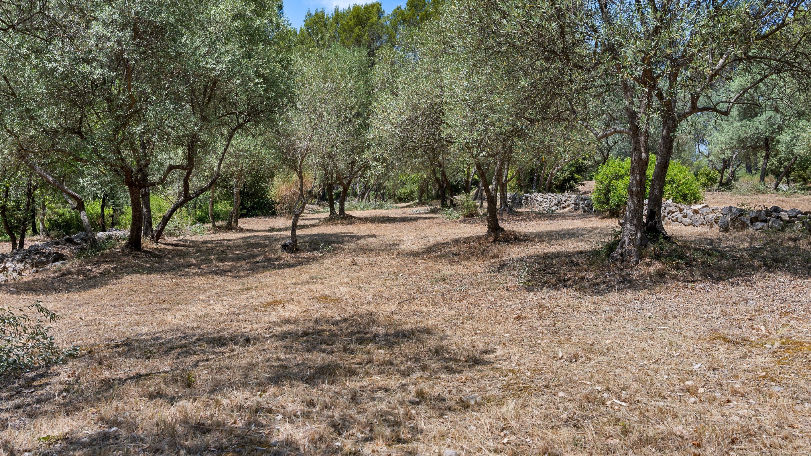  Flayosc – Elegant Provençal Property Set Within Over 2 Hectares of Unspoiled Na… - 物件實景