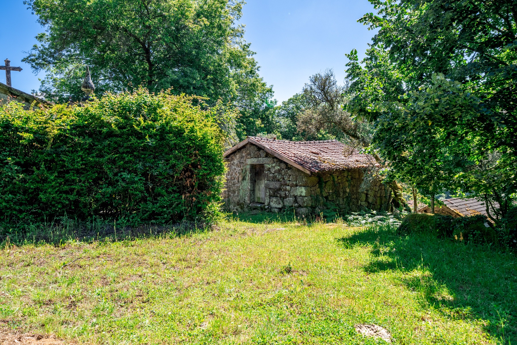  Farm for Sale - 物件實景