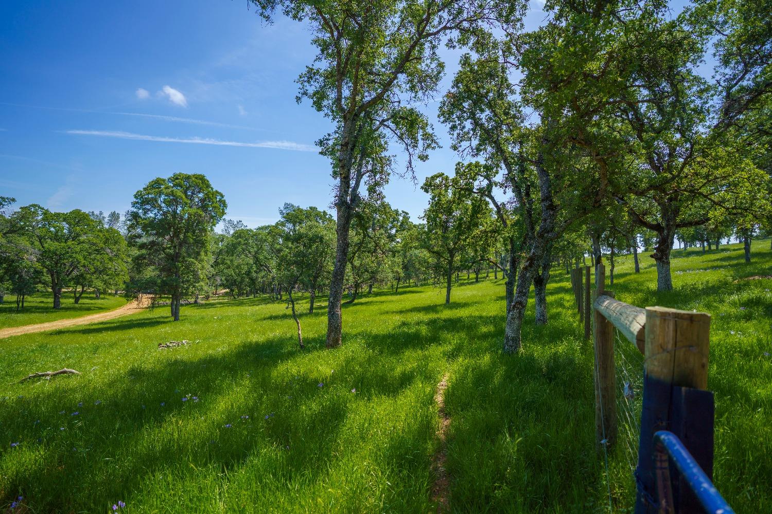 Lincoln, California, 95648, United States, ,Land,For Sale,1784125