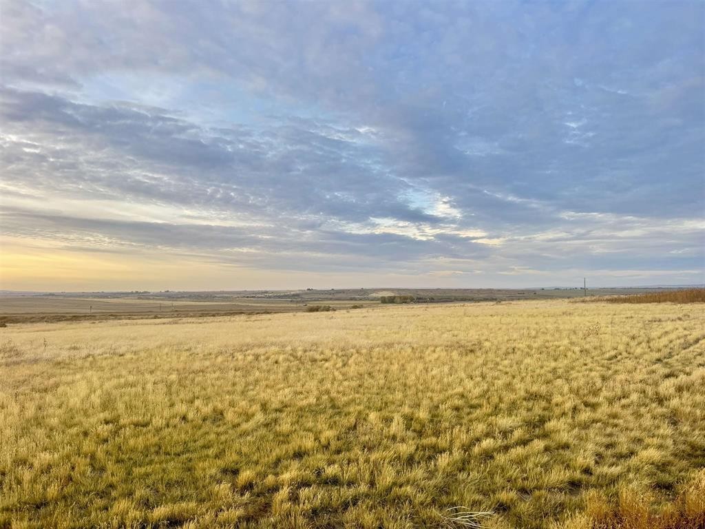 Burley, Idaho, 83318, United States, ,Land,For Sale,1985729