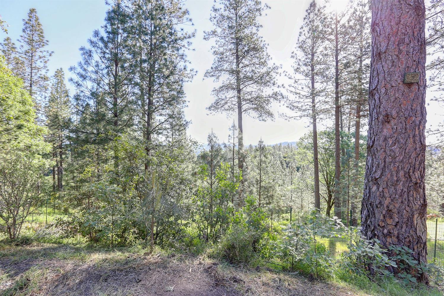 Grass Valley, California, 95949, United States, 3 Bedrooms Bedrooms, ,3 BathroomsBathrooms,Residential,For Sale,1842602