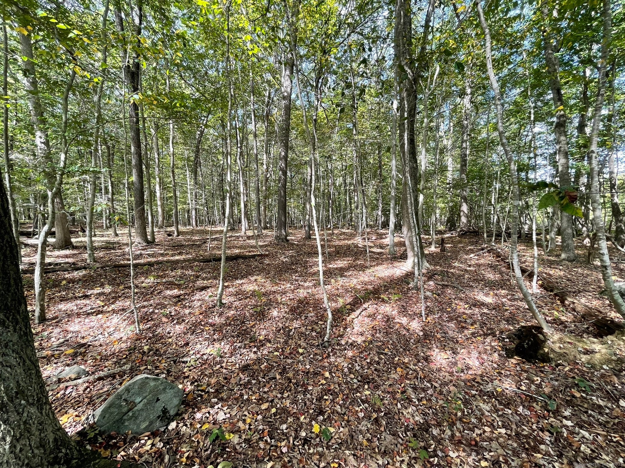 Old Lyme, Connecticut, 06371, United States, ,Land,For Sale,1979689