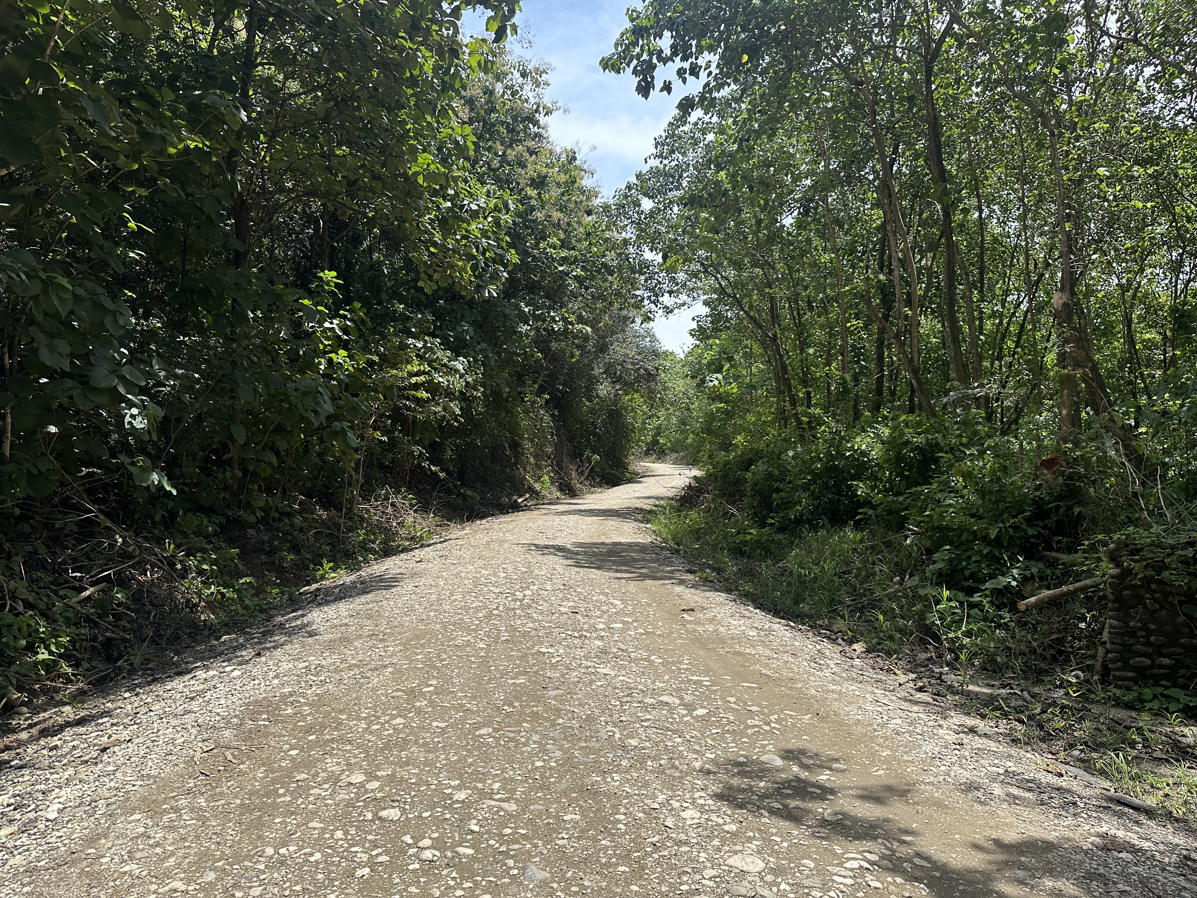 Palmar Norte, Palmar, Puntarenas, CR, ,Land,For Sale,Palmar Norte,1667866