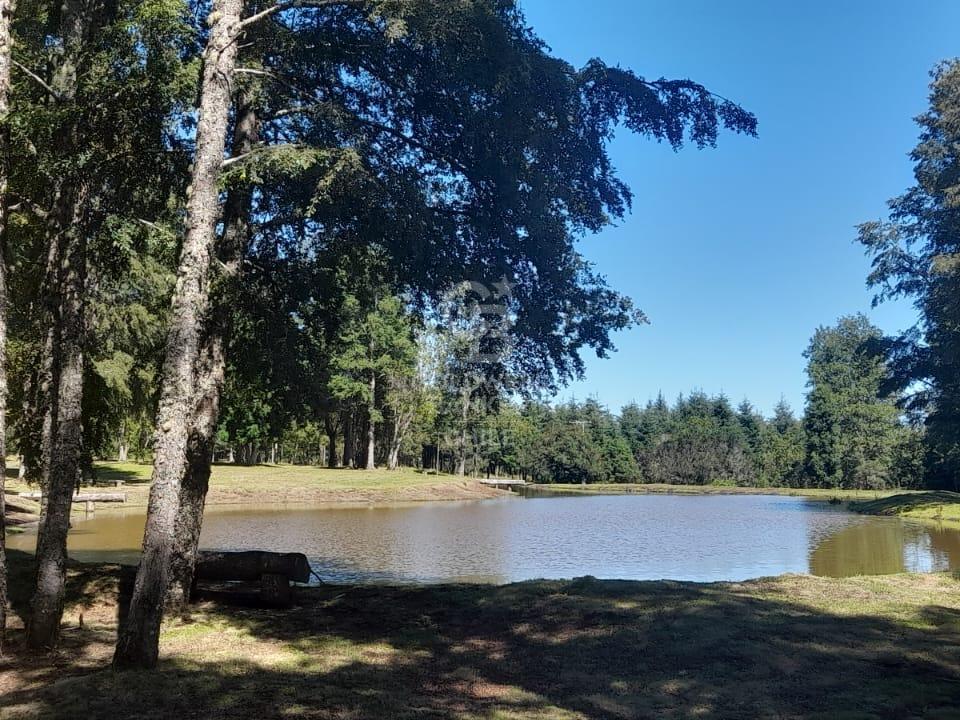 Pucón, Chile, 4 Bedrooms Bedrooms, ,3 BathroomsBathrooms,Residential,For Sale,1959469